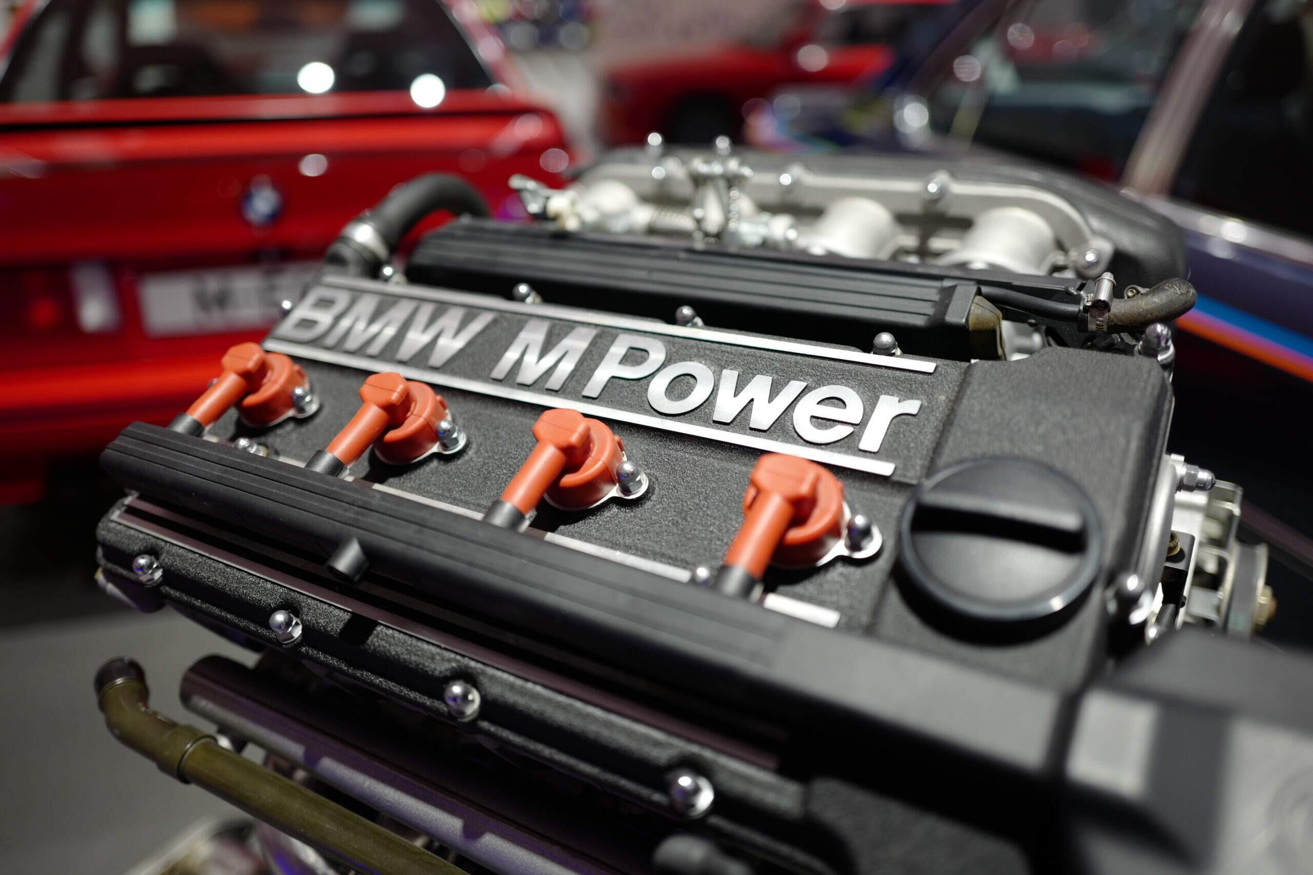 Bild ohne Beschreibung