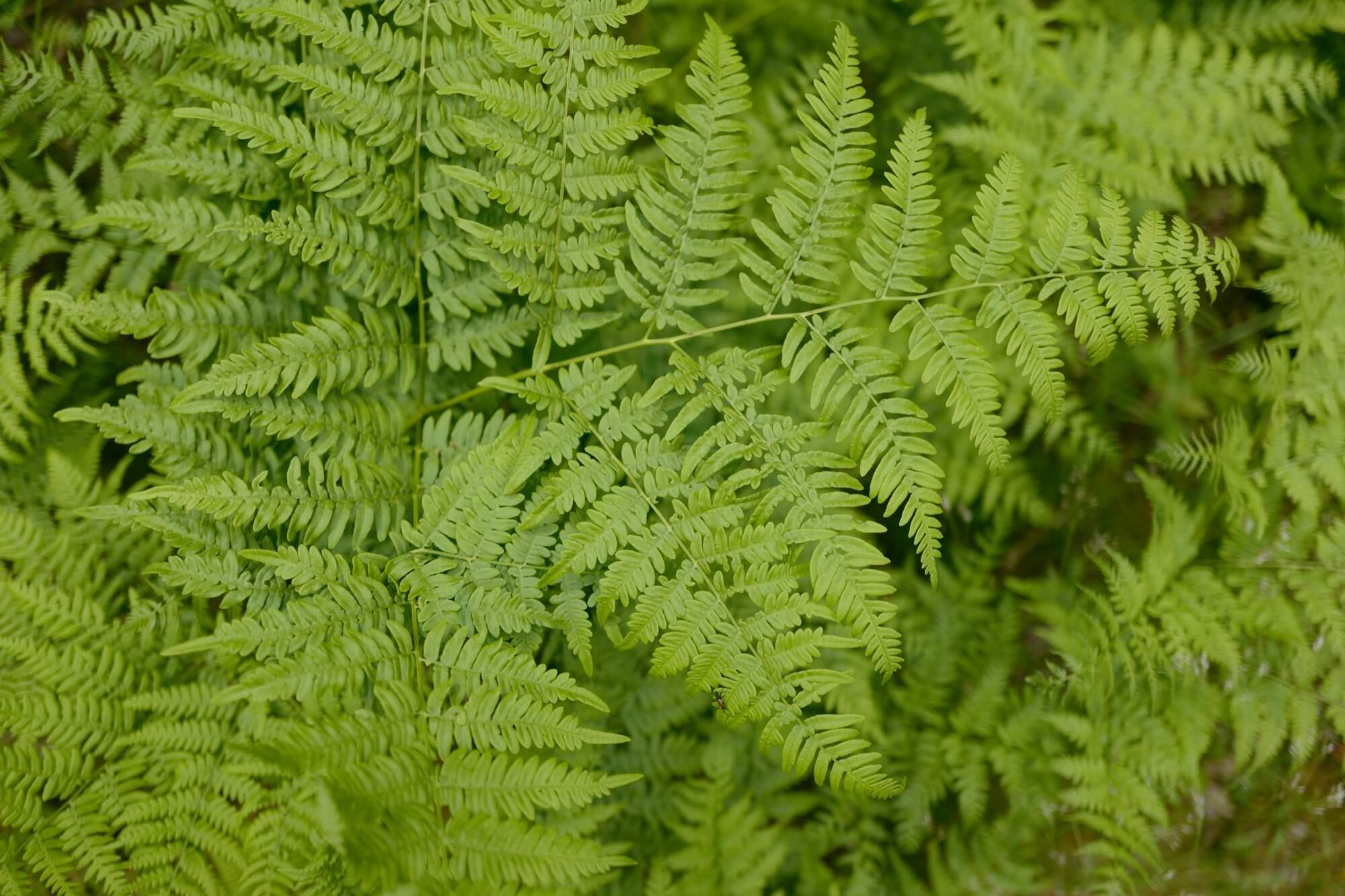 Bild ohne Beschreibung Bild ohne Beschreibung