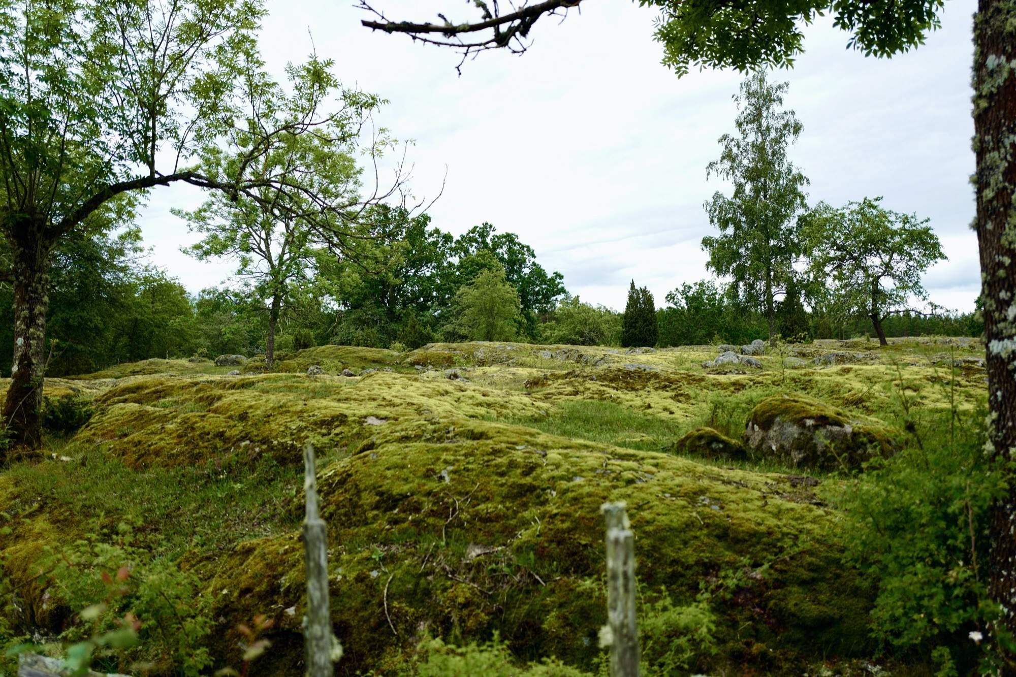 Bild ohne Beschreibung Bild ohne Beschreibung