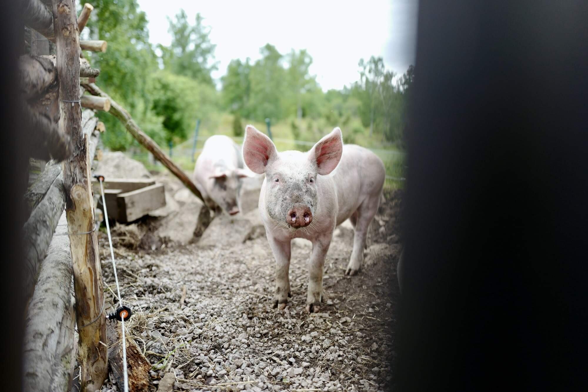 Bild ohne Beschreibung Bild ohne Beschreibung