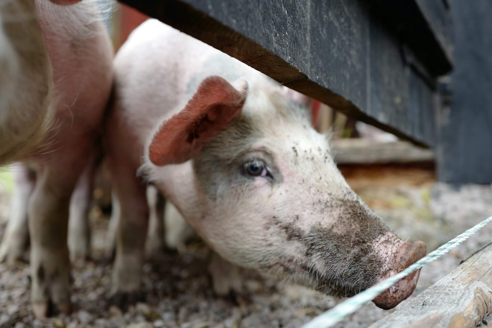 Bild ohne Beschreibung Bild ohne Beschreibung