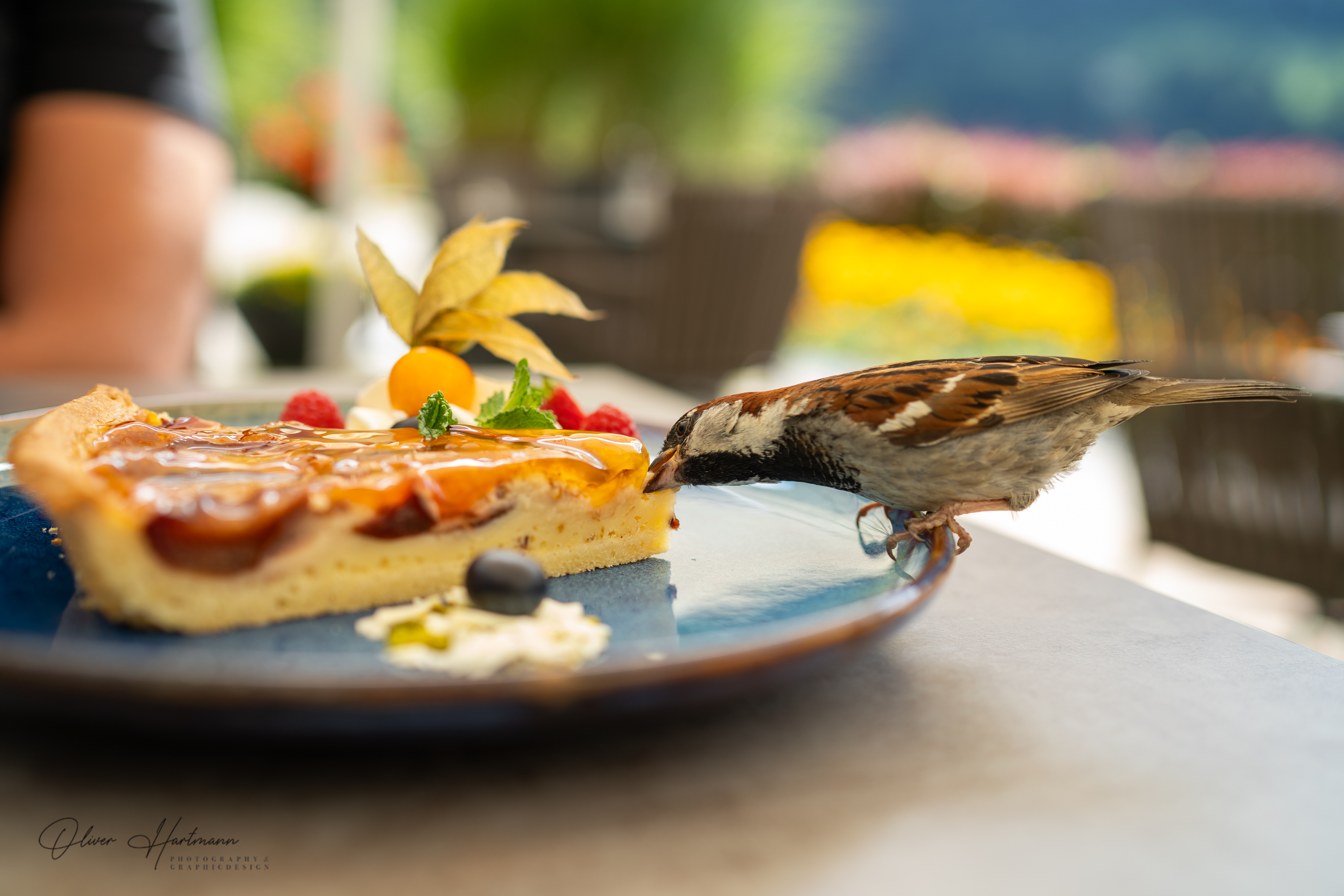 Bild ohne Beschreibung