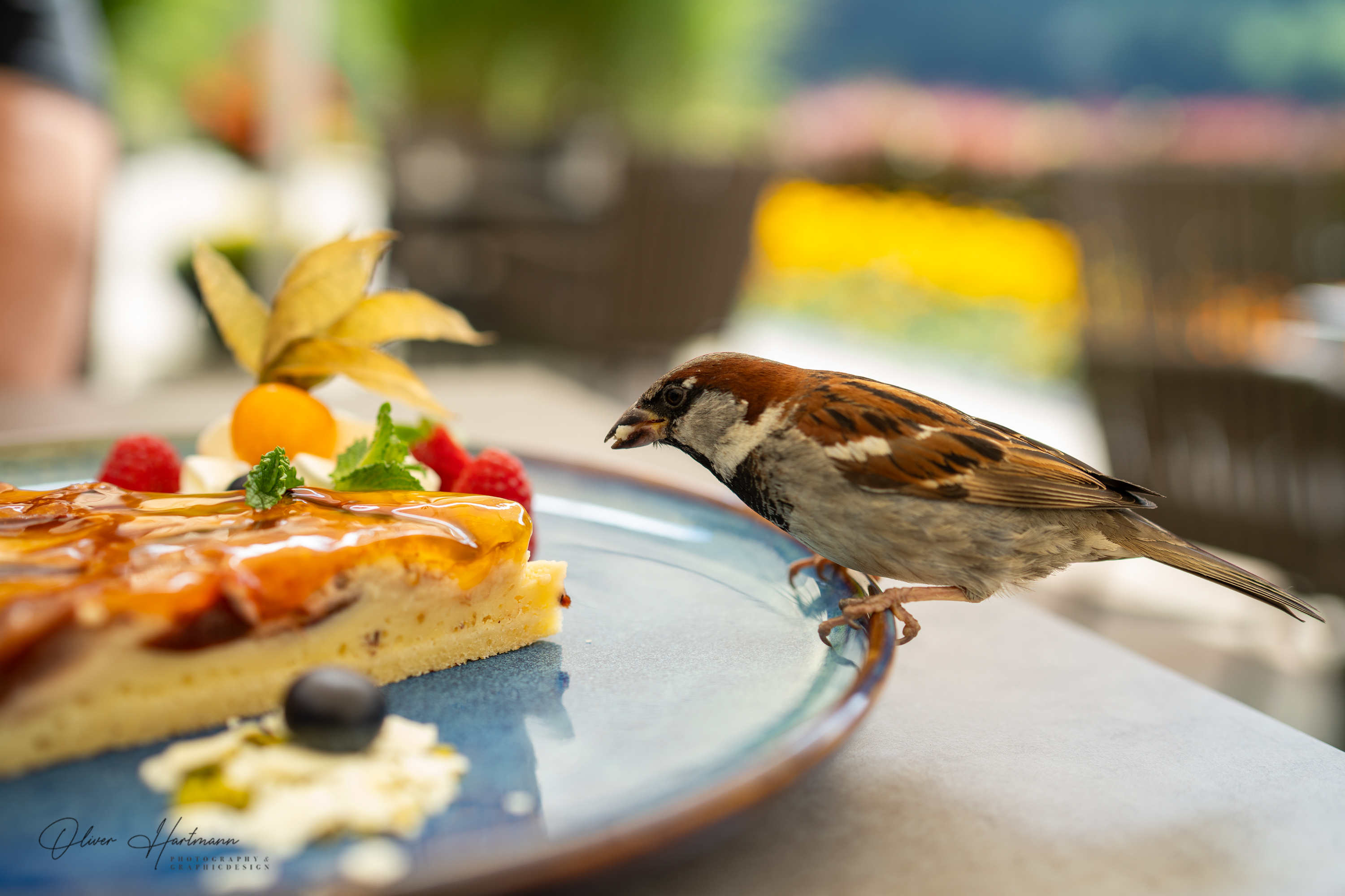 Bild ohne Beschreibung