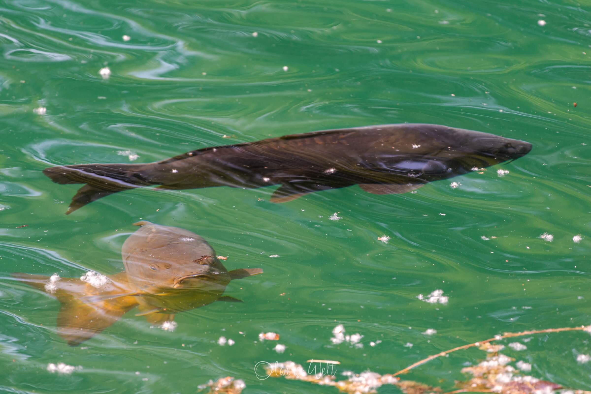 Bild ohne Beschreibung Bild ohne Beschreibung