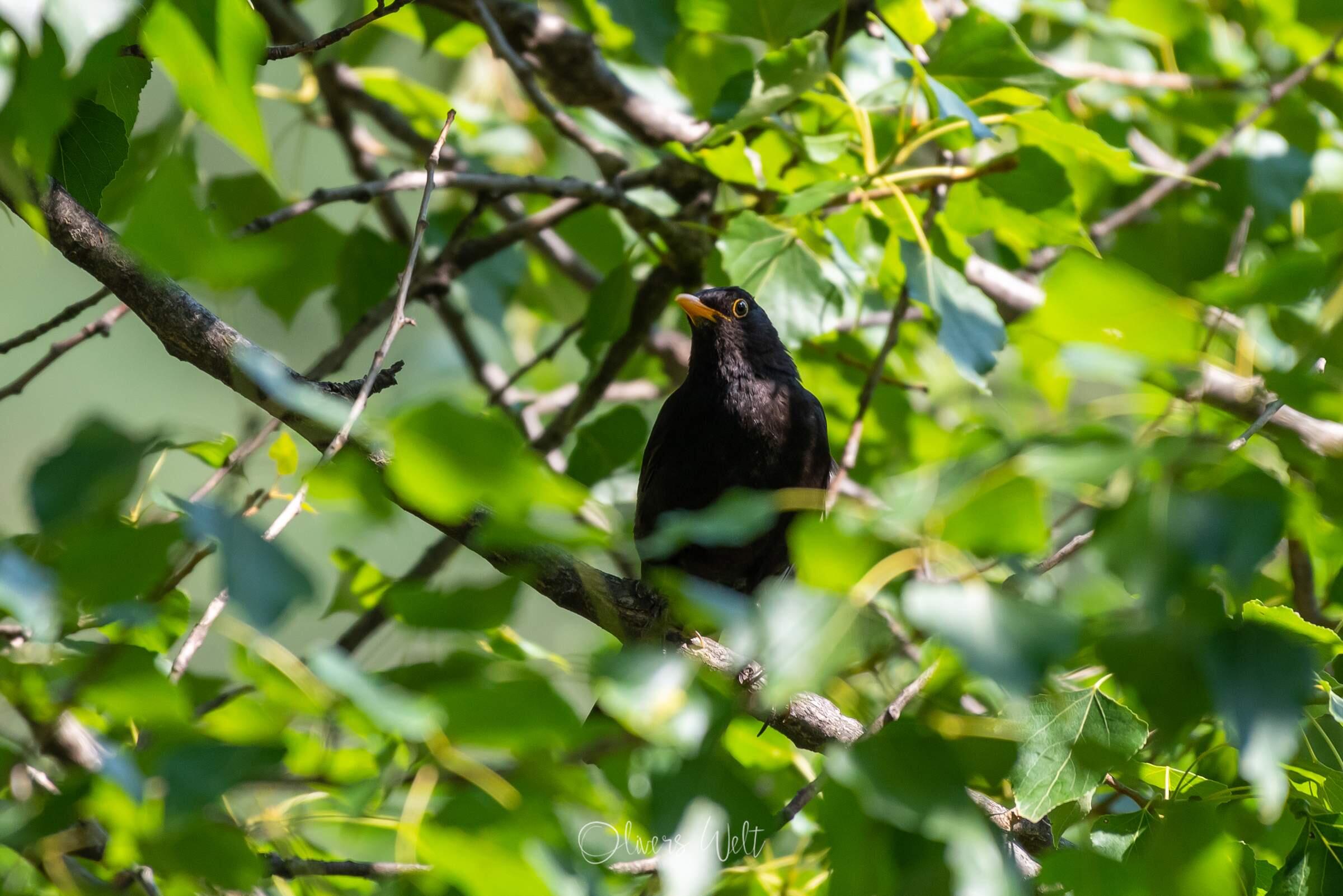 Bild ohne Beschreibung Bild ohne Beschreibung