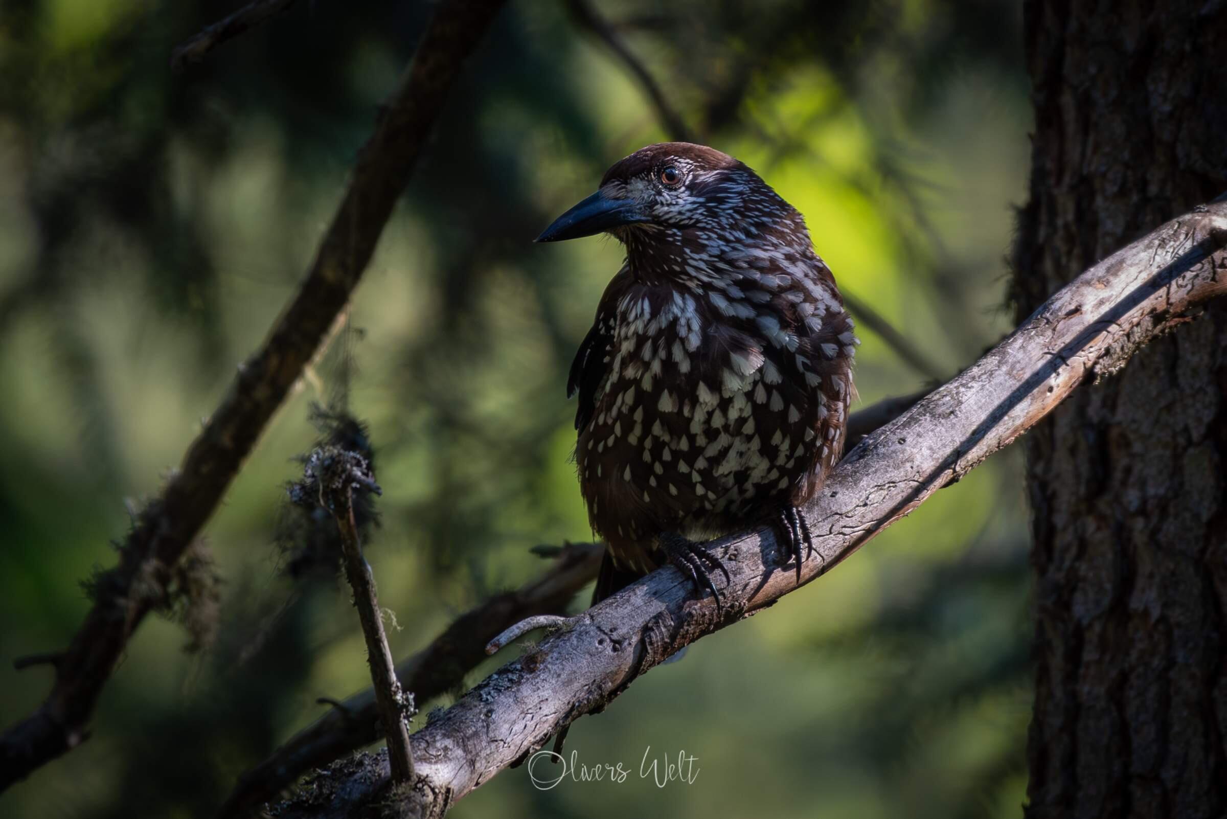 Bild ohne Beschreibung Bild ohne Beschreibung