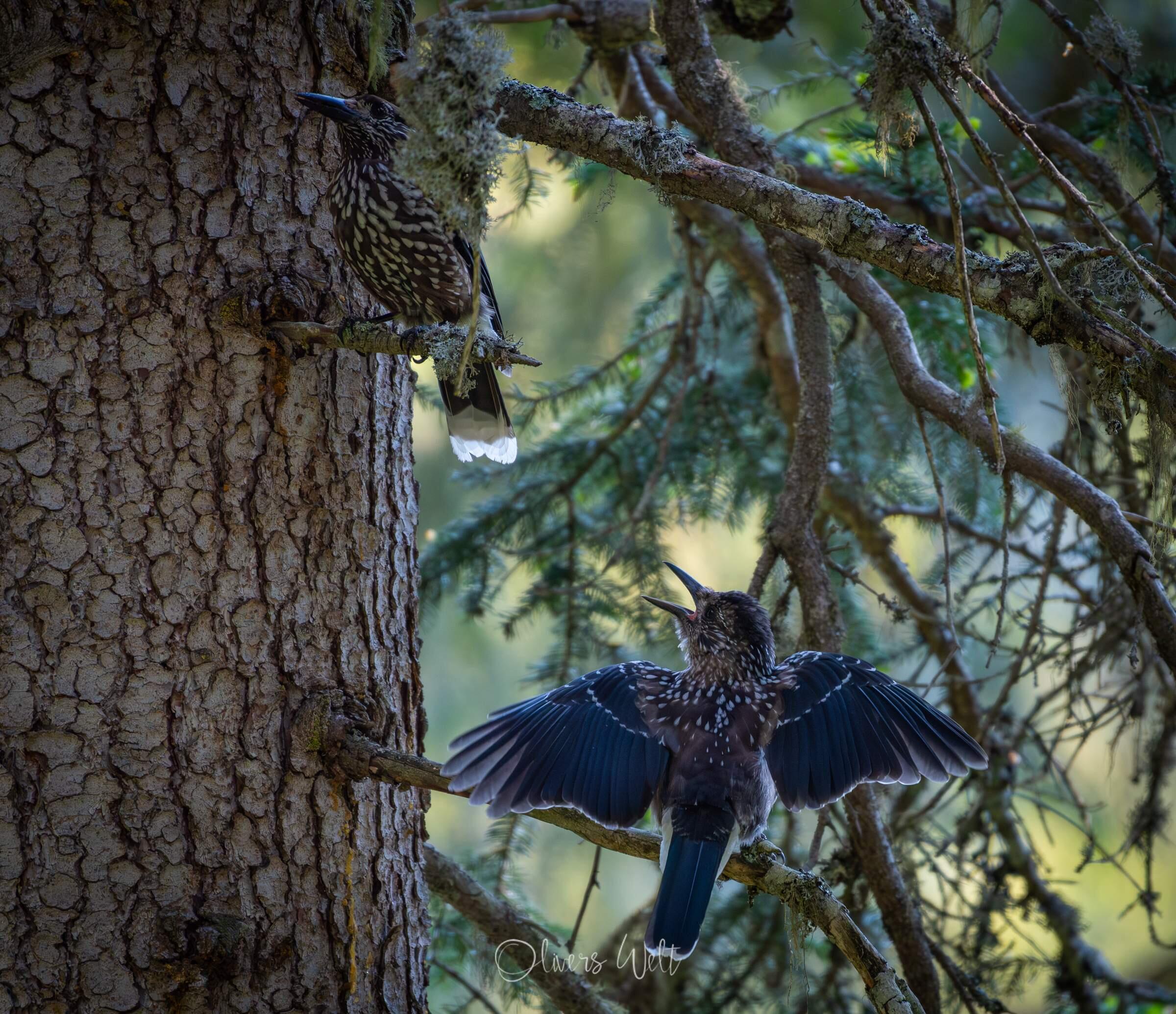 Bild ohne Beschreibung Bild ohne Beschreibung