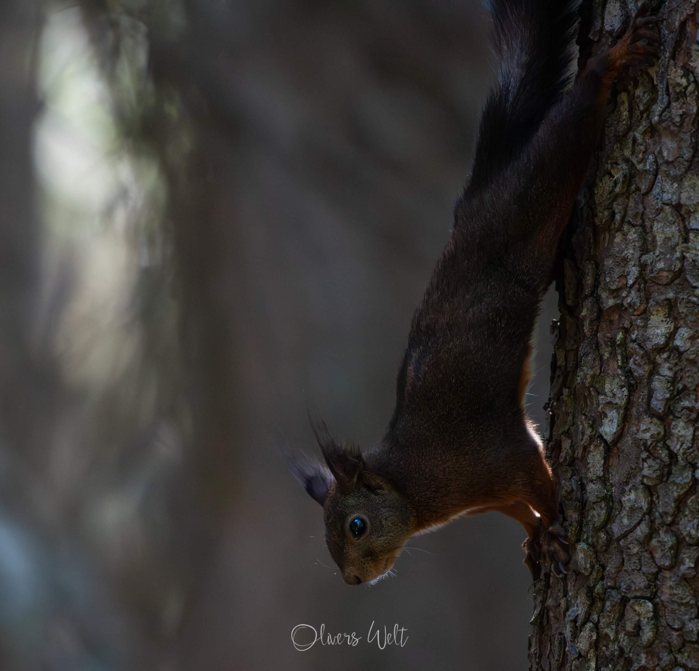 Bild ohne Beschreibung Bild ohne Beschreibung