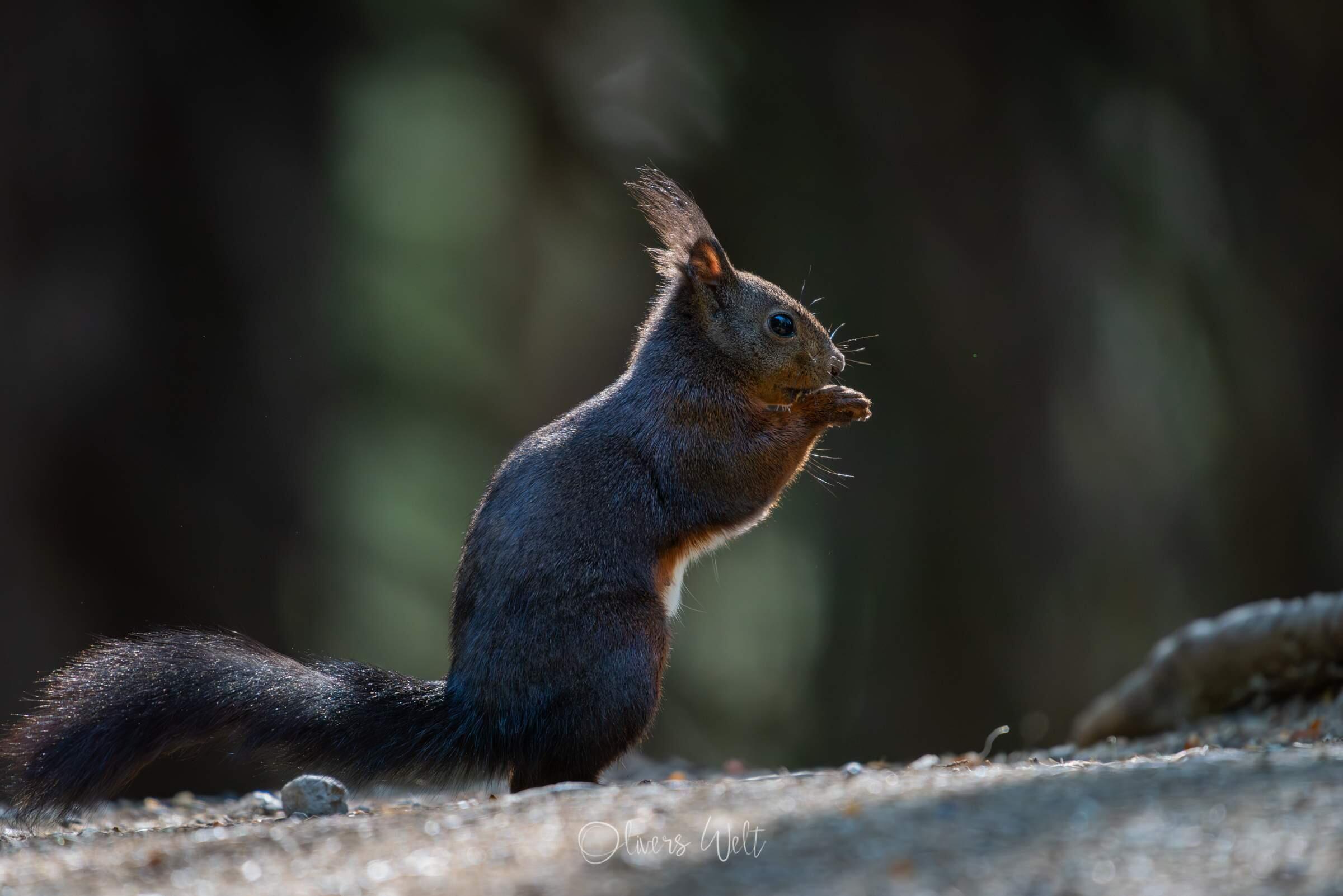Bild ohne Beschreibung Bild ohne Beschreibung