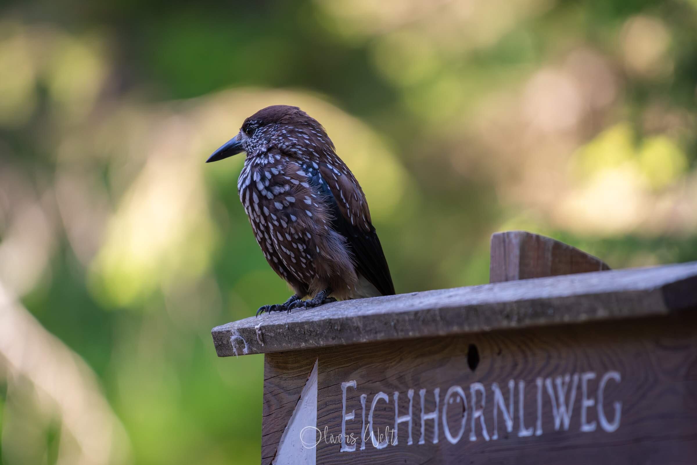 Bild ohne Beschreibung Bild ohne Beschreibung