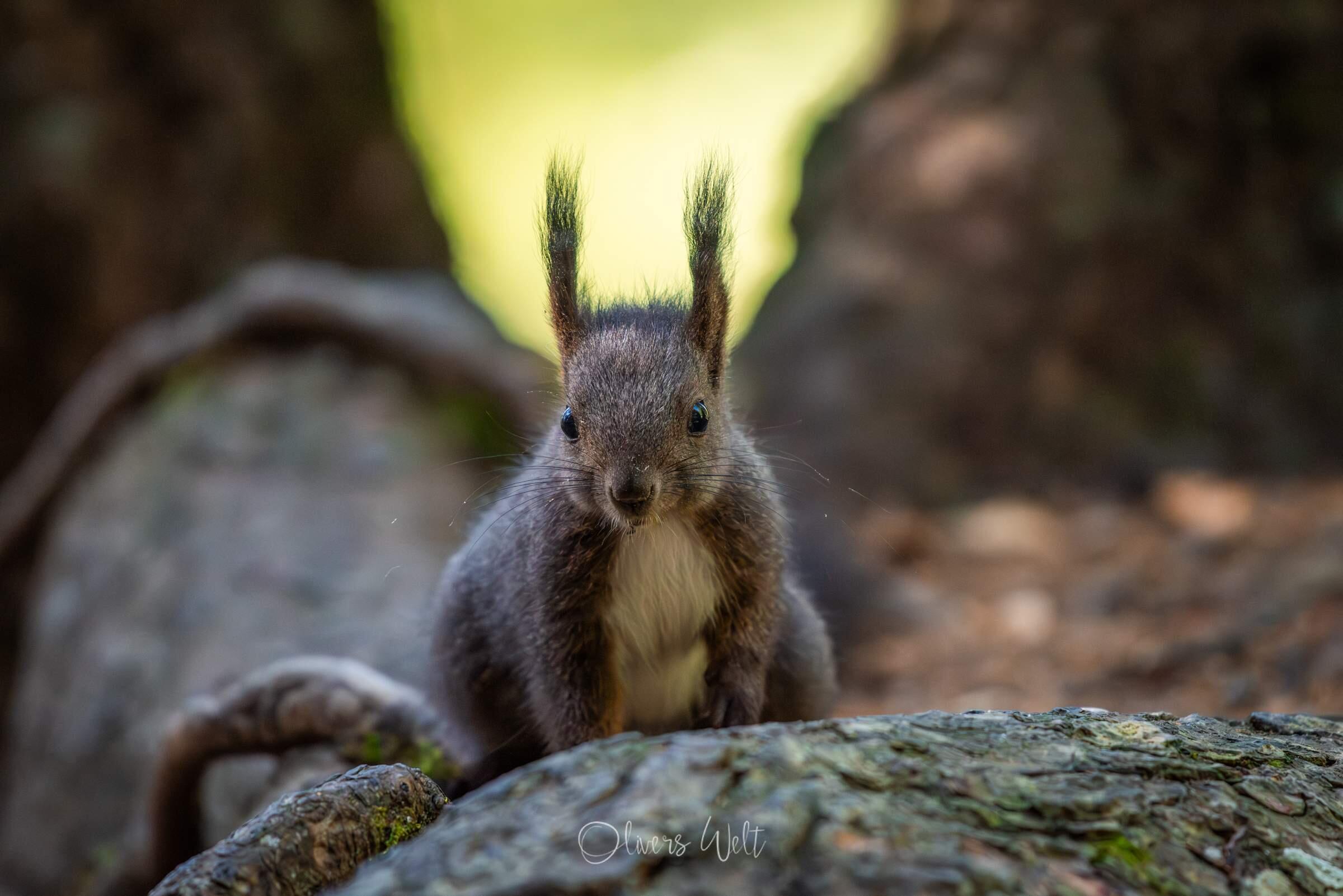 Bild ohne Beschreibung Bild ohne Beschreibung