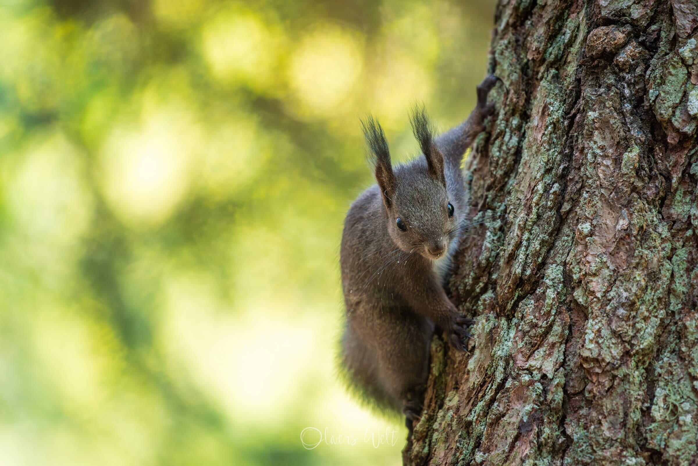 Bild ohne Beschreibung Bild ohne Beschreibung