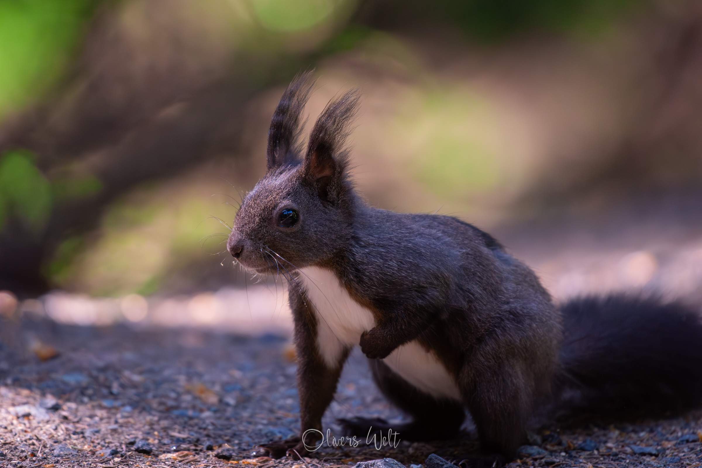 Bild ohne Beschreibung Bild ohne Beschreibung