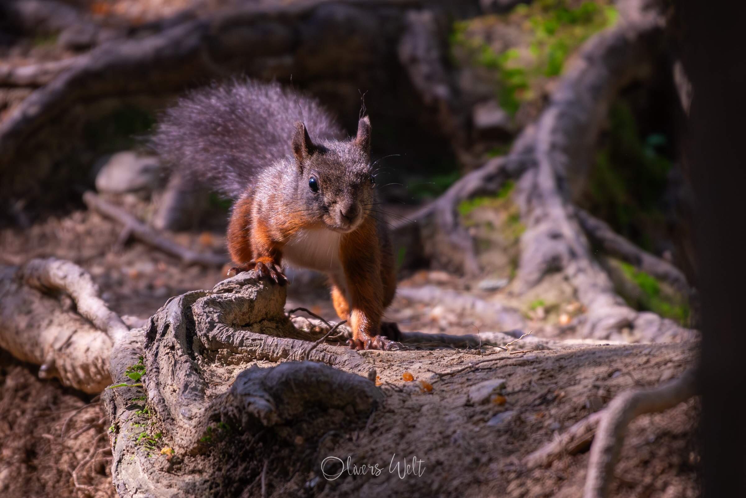 Bild ohne Beschreibung Bild ohne Beschreibung