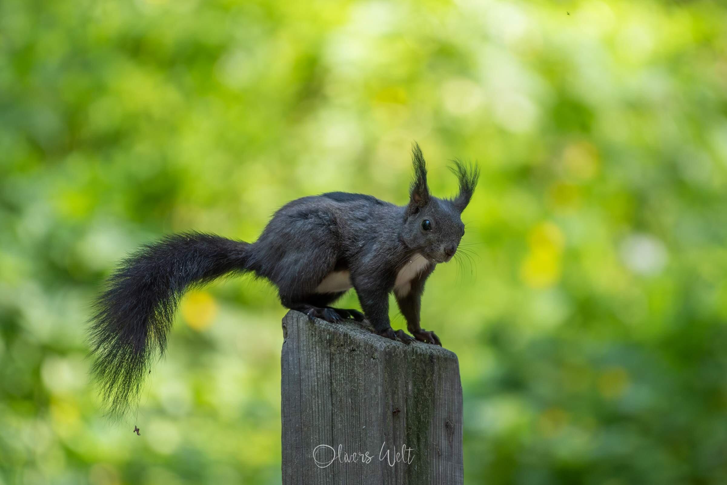 Bild ohne Beschreibung Bild ohne Beschreibung
