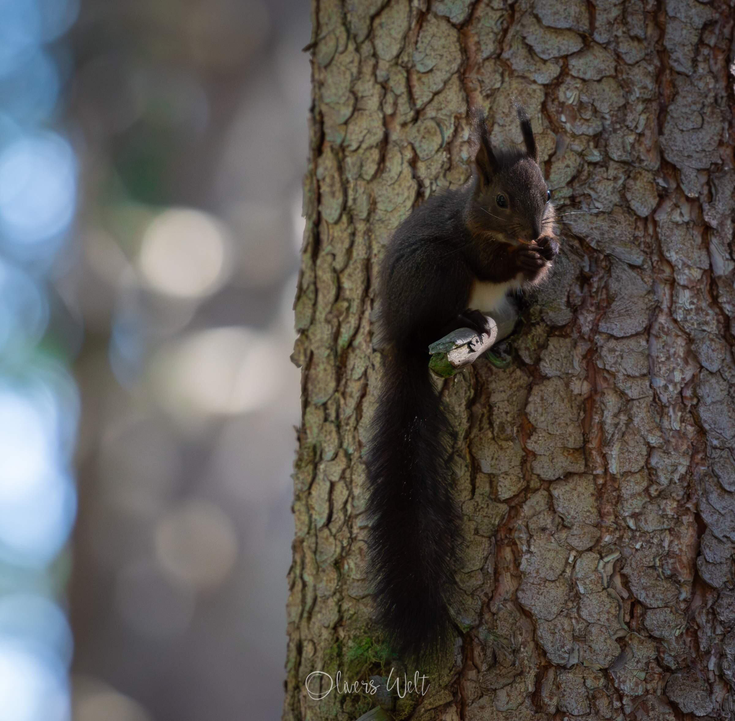 Bild ohne Beschreibung Bild ohne Beschreibung