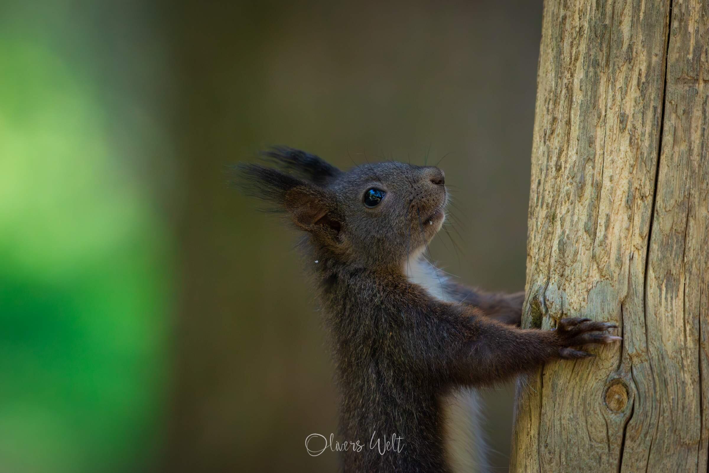 Bild ohne Beschreibung Bild ohne Beschreibung