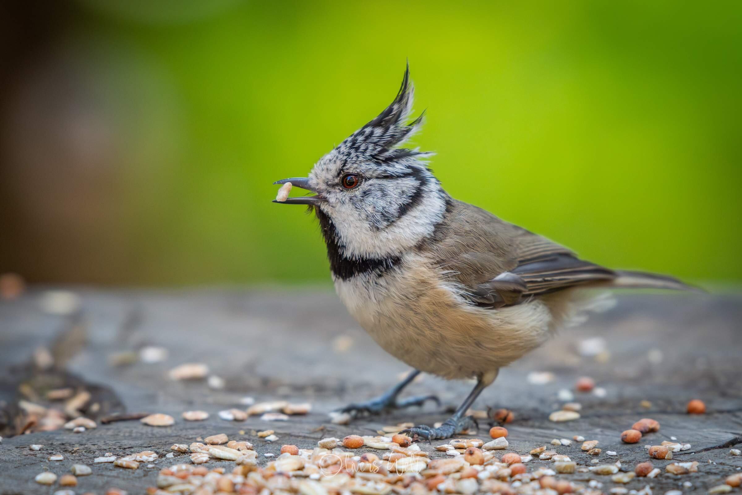 Bild ohne Beschreibung Bild ohne Beschreibung