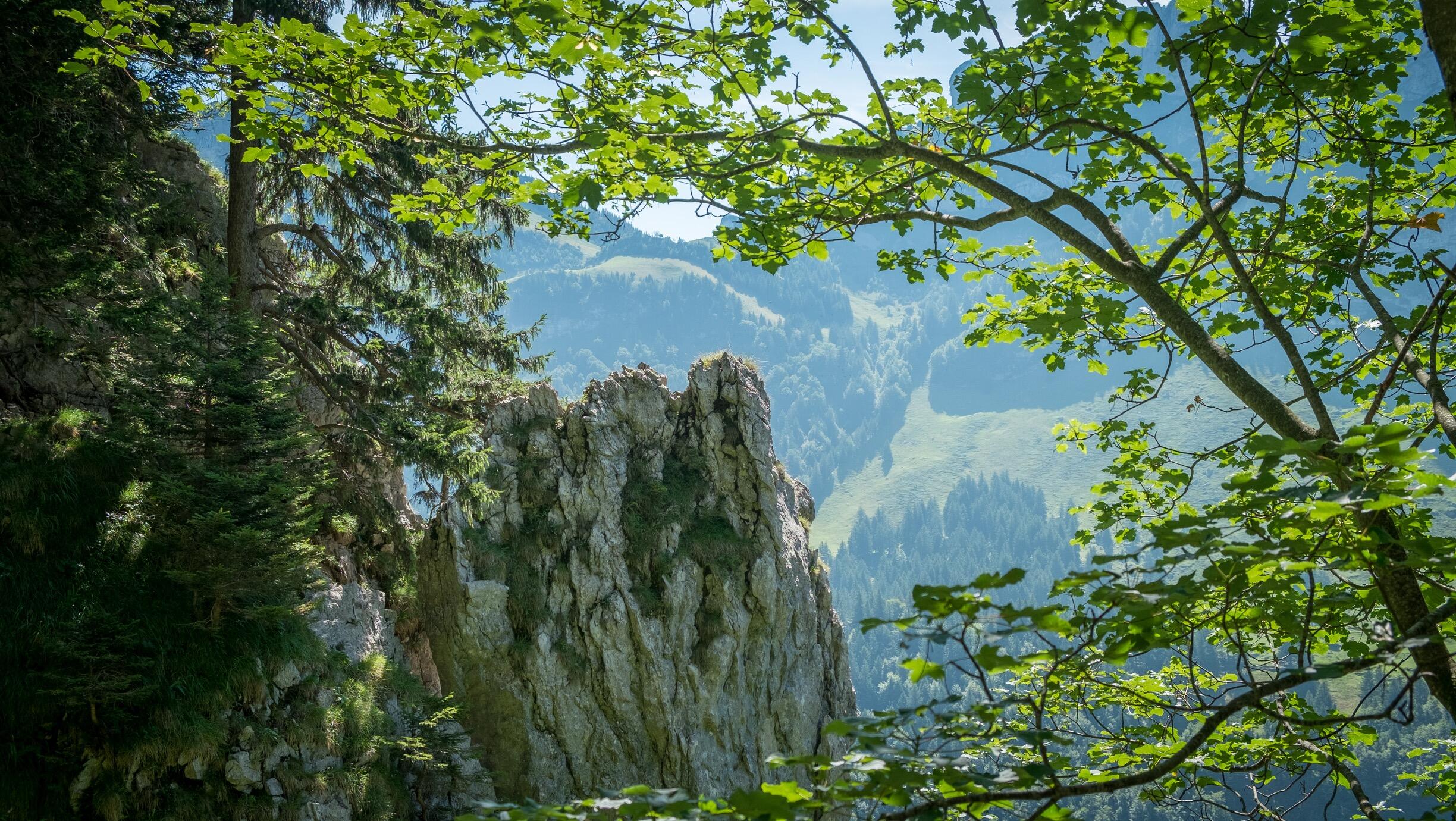 Bild ohne Beschreibung Bild ohne Beschreibung