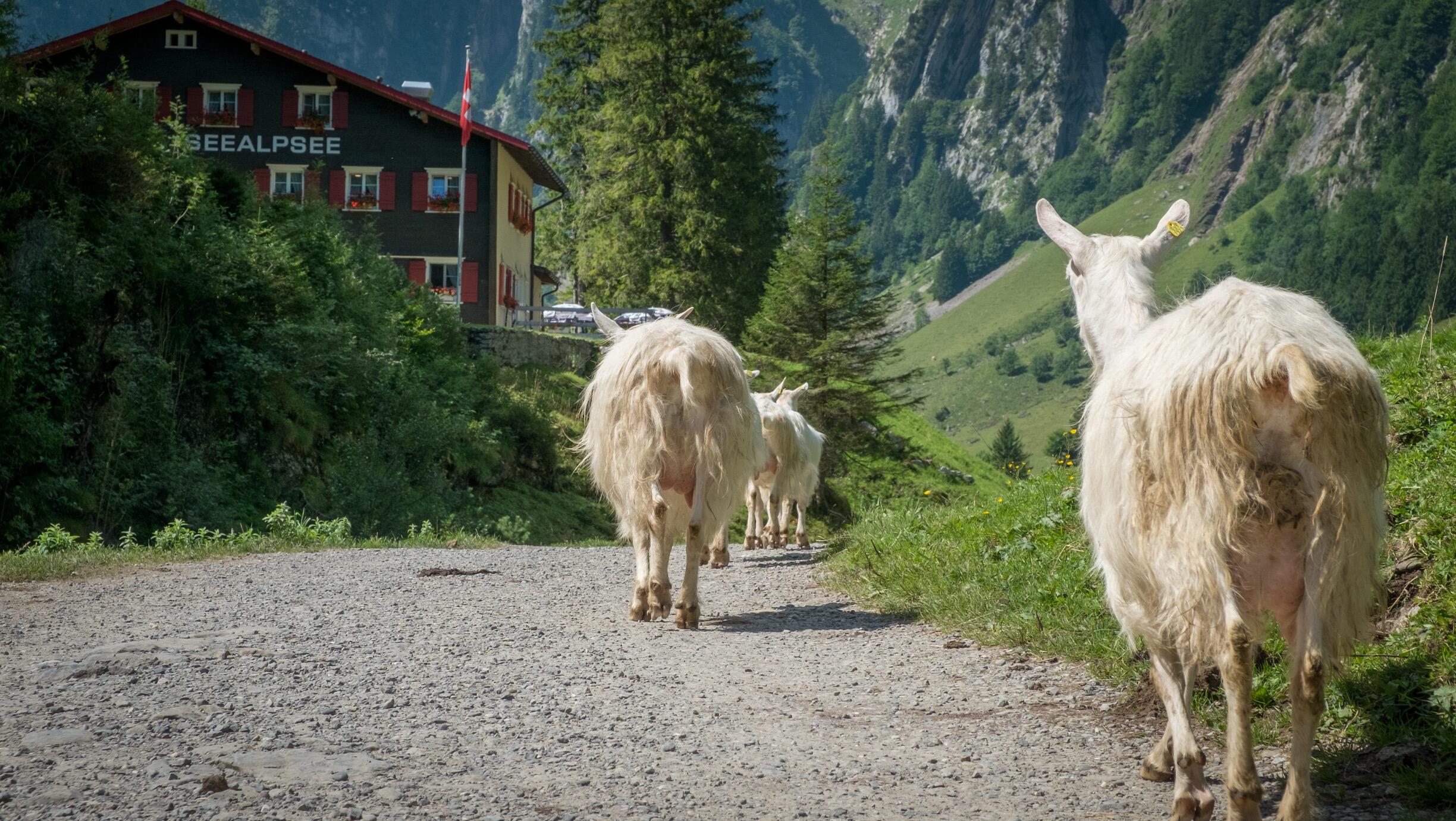 Bild ohne Beschreibung Bild ohne Beschreibung
