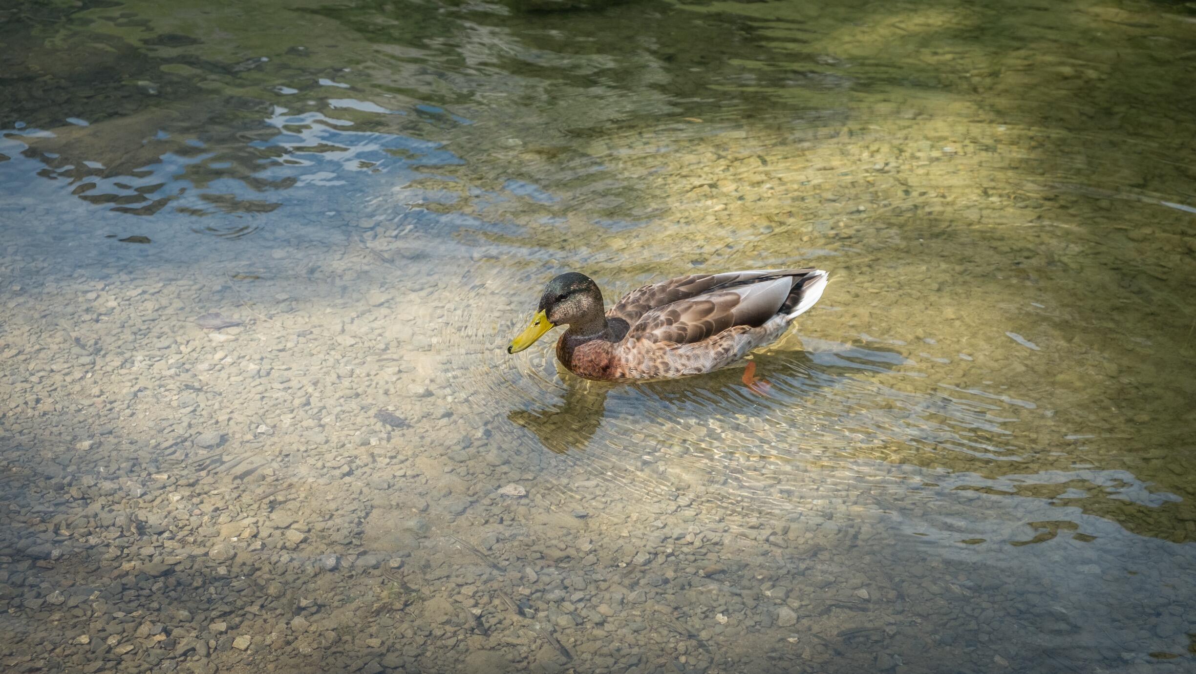 Bild ohne Beschreibung Bild ohne Beschreibung