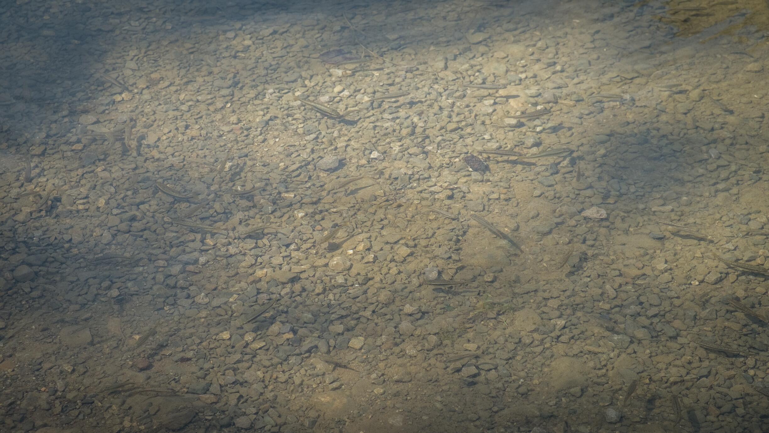 Bild ohne Beschreibung Bild ohne Beschreibung