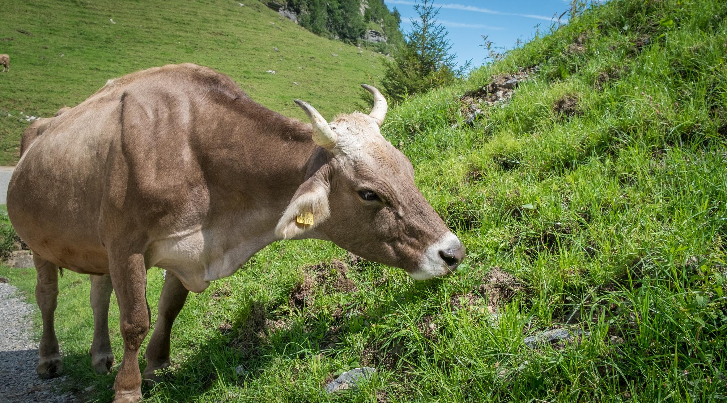 Bild ohne Beschreibung Bild ohne Beschreibung