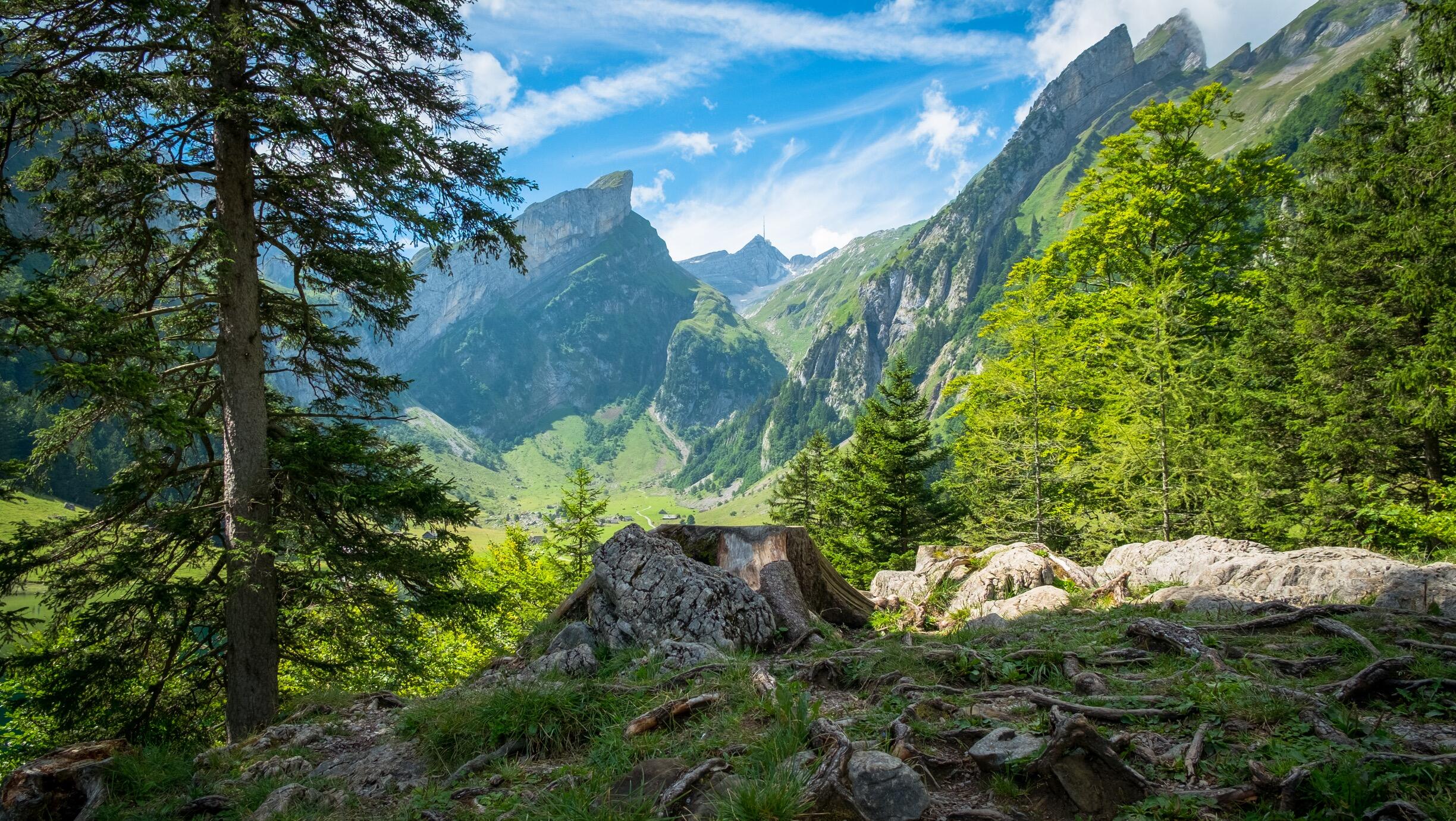 Bild ohne Beschreibung Bild ohne Beschreibung