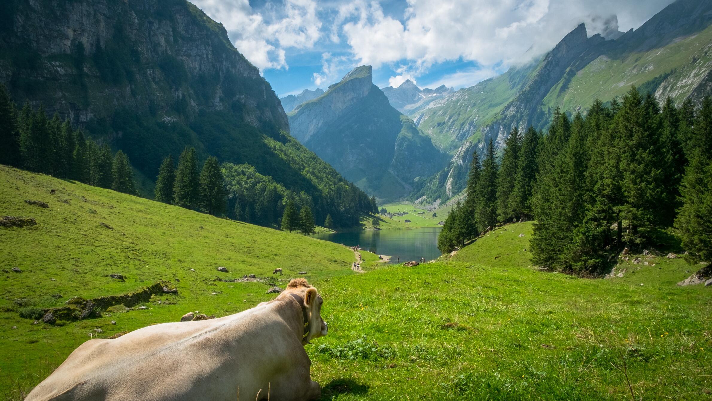 Bild ohne Beschreibung Bild ohne Beschreibung