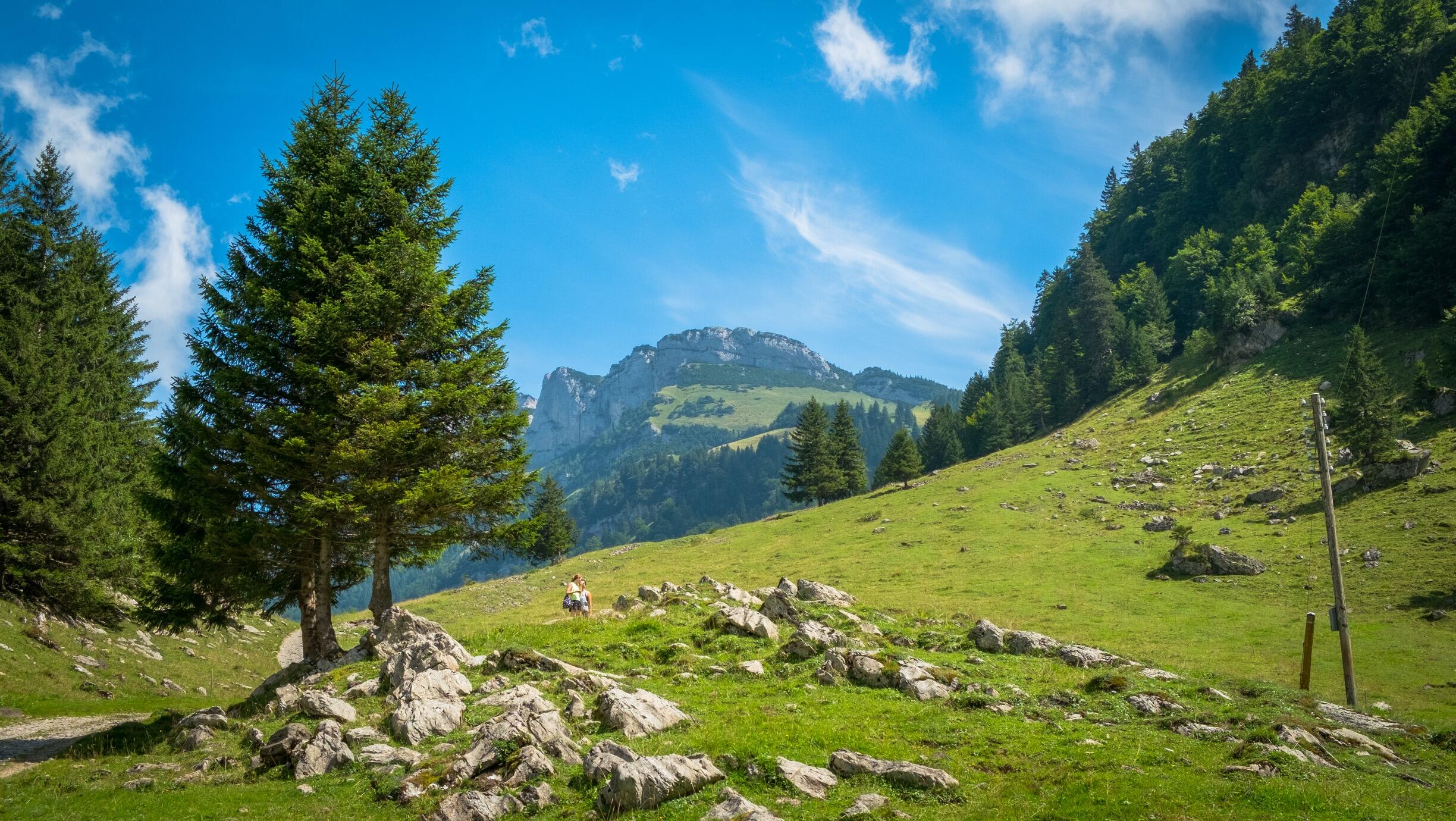 Bild ohne Beschreibung Bild ohne Beschreibung