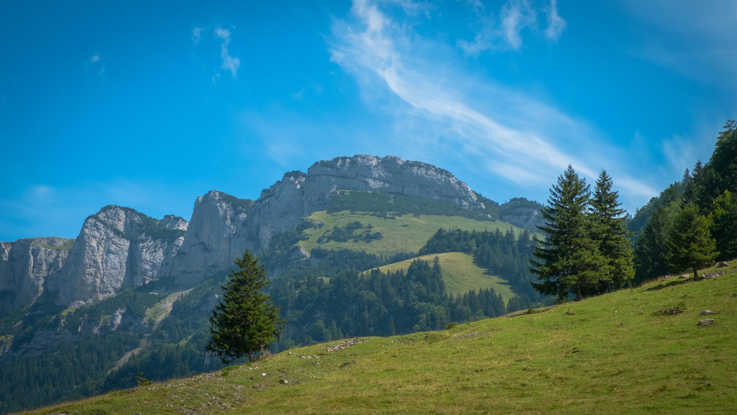 Bild ohne Beschreibung Bild ohne Beschreibung