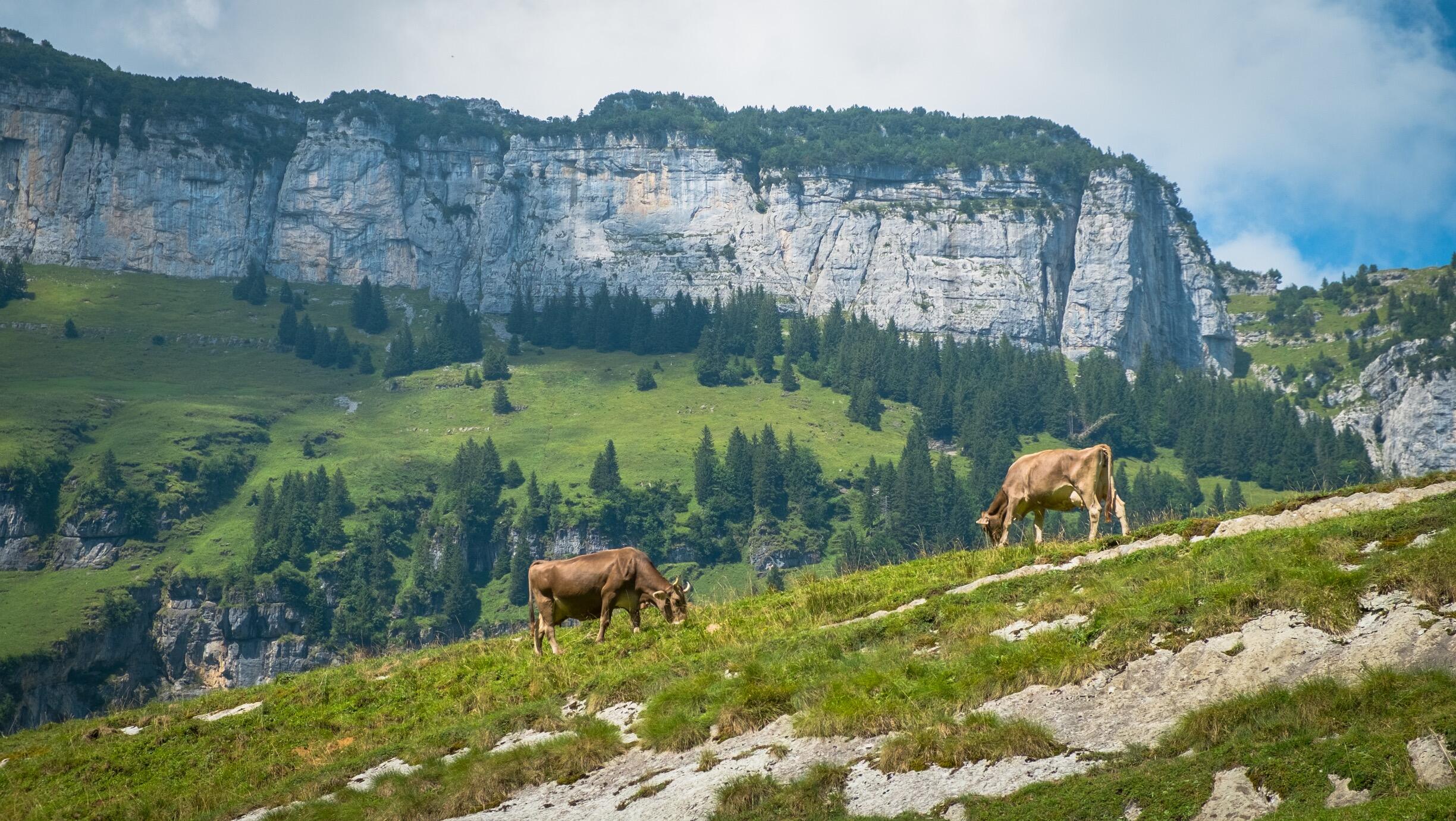 Bild ohne Beschreibung Bild ohne Beschreibung