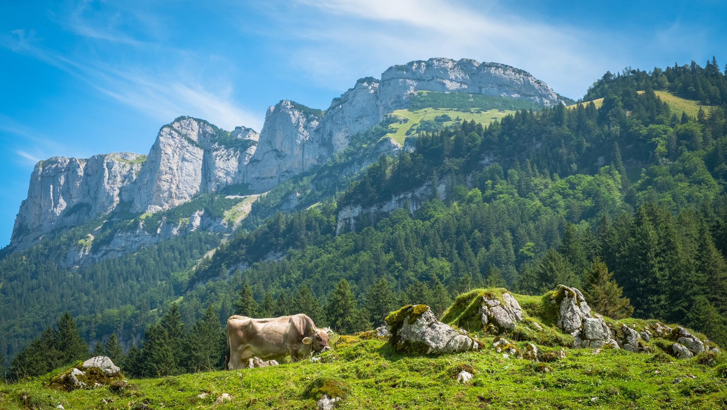 Bild ohne Beschreibung Bild ohne Beschreibung