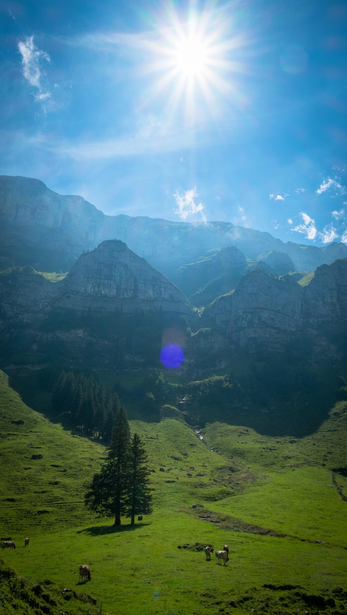 Bild ohne Beschreibung Bild ohne Beschreibung