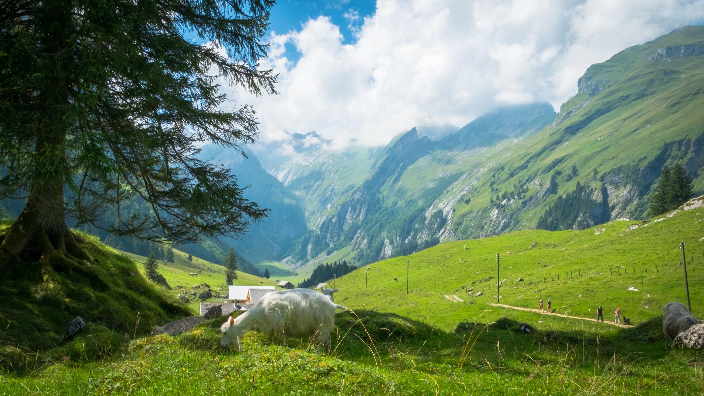 Bild ohne Beschreibung Bild ohne Beschreibung