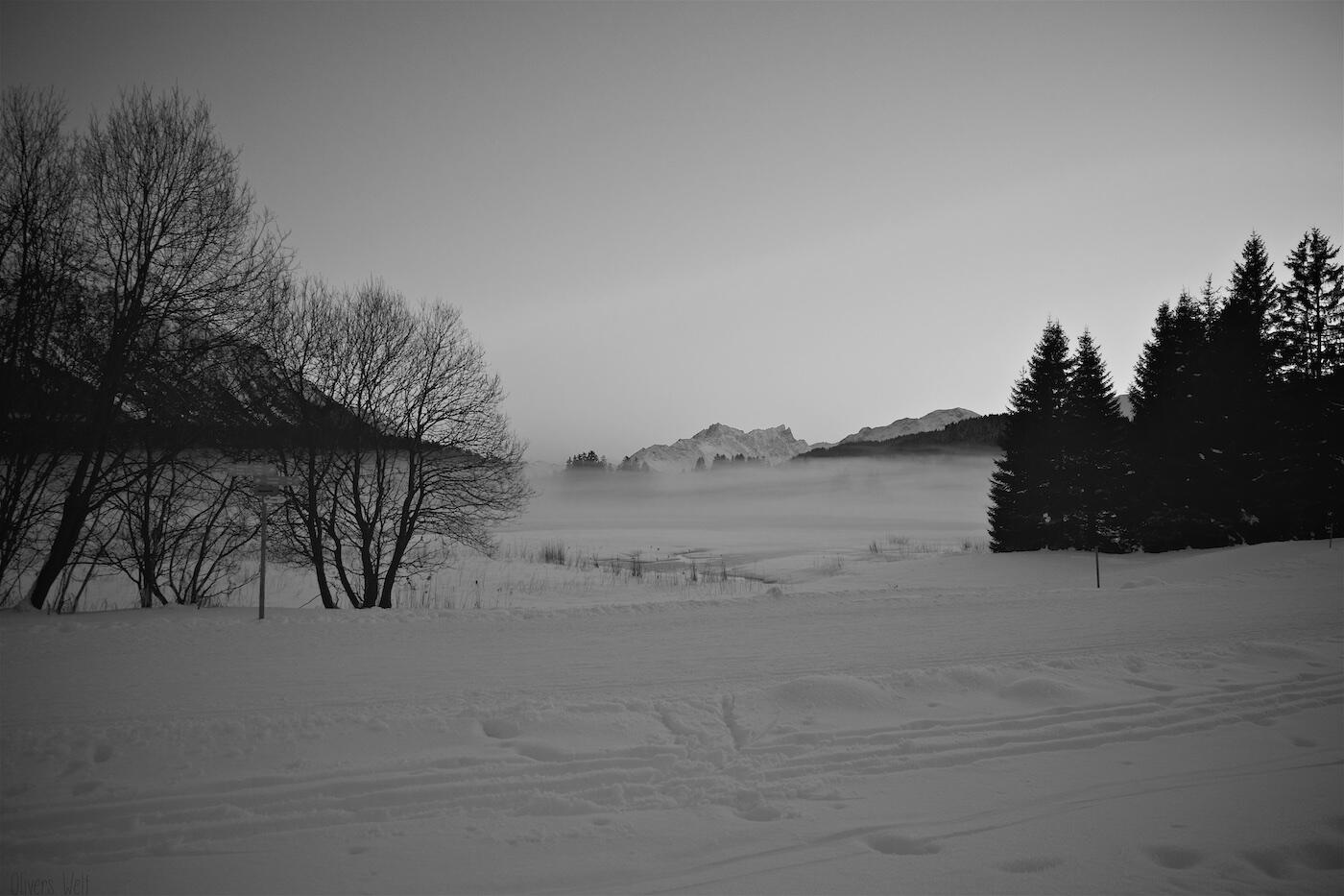 Bild ohne Beschreibung