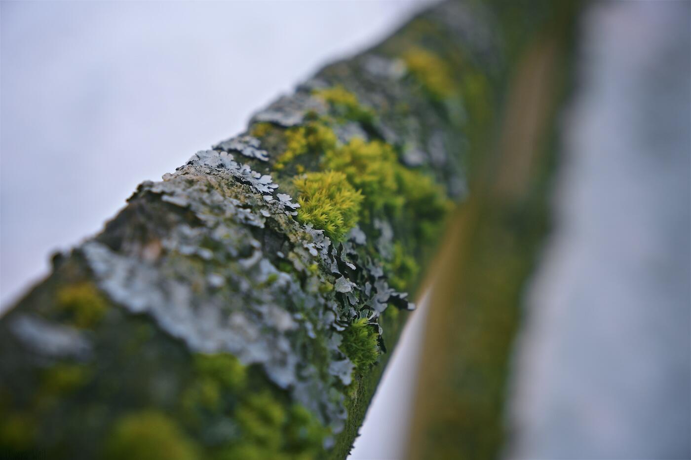 Bild ohne Beschreibung