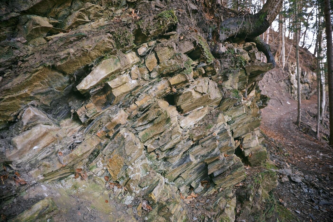 Bild ohne Beschreibung