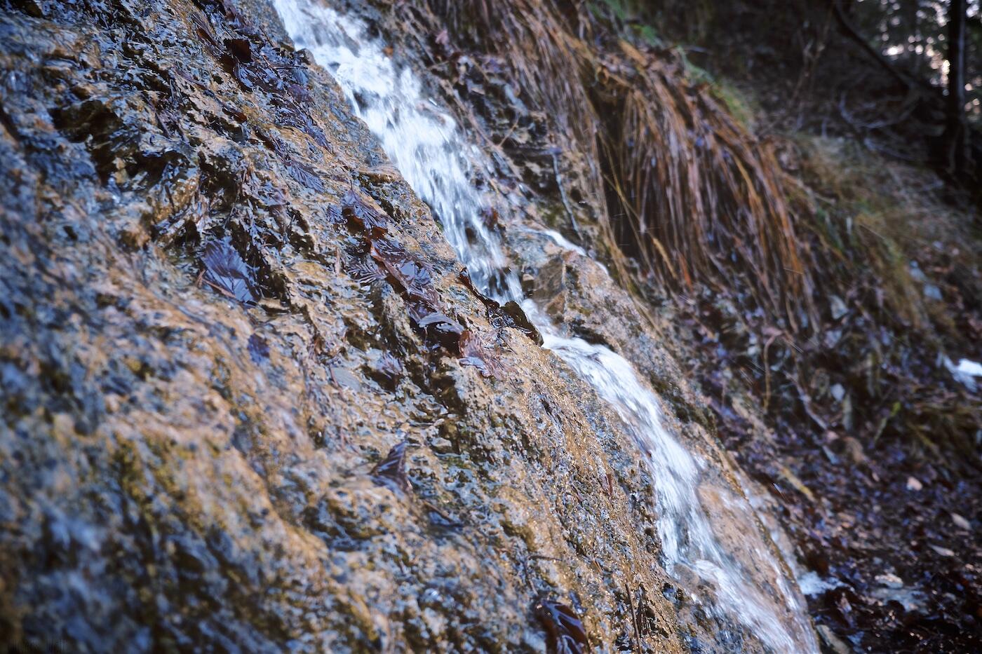 Bild ohne Beschreibung