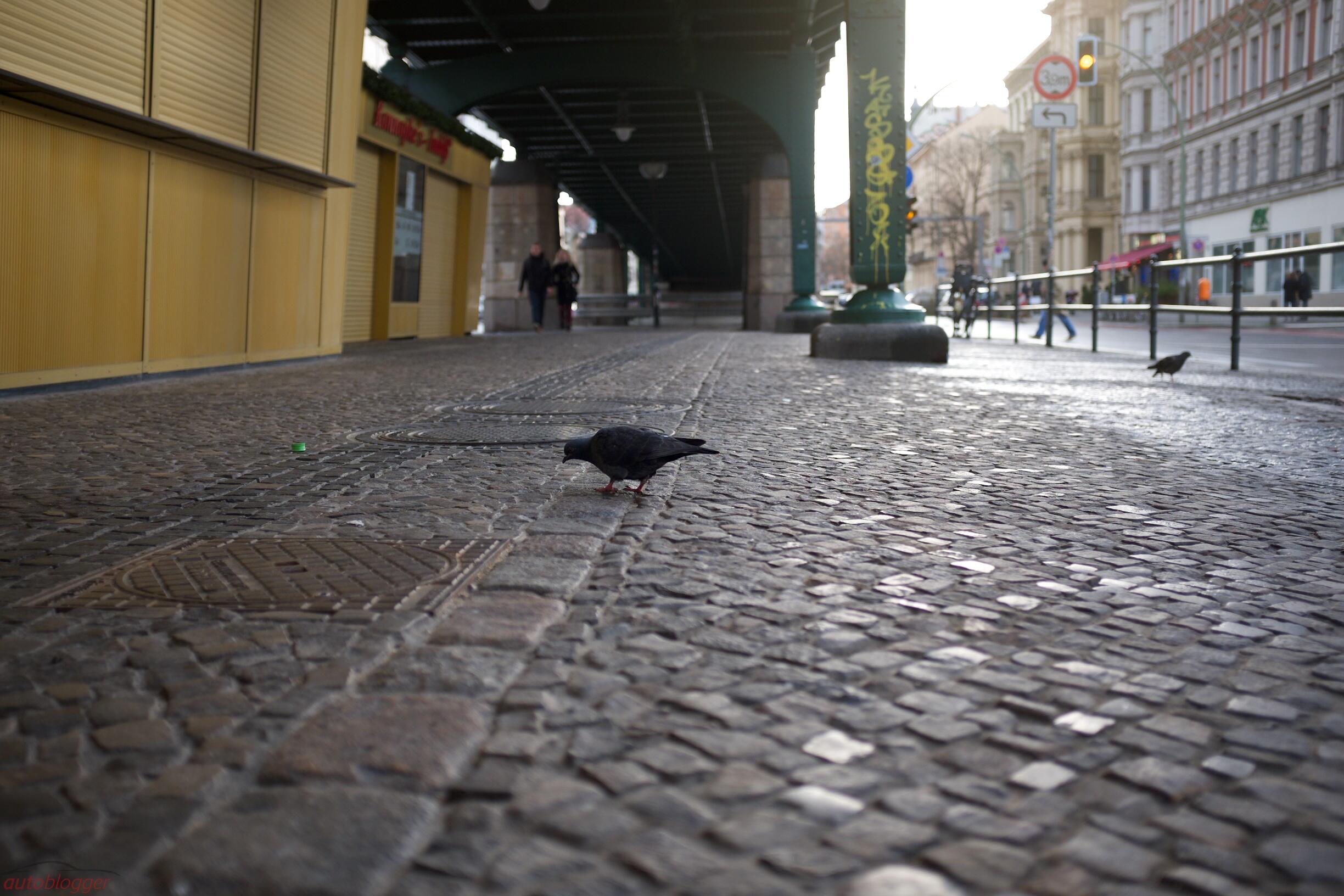 Bild ohne Beschreibung Bild ohne Beschreibung