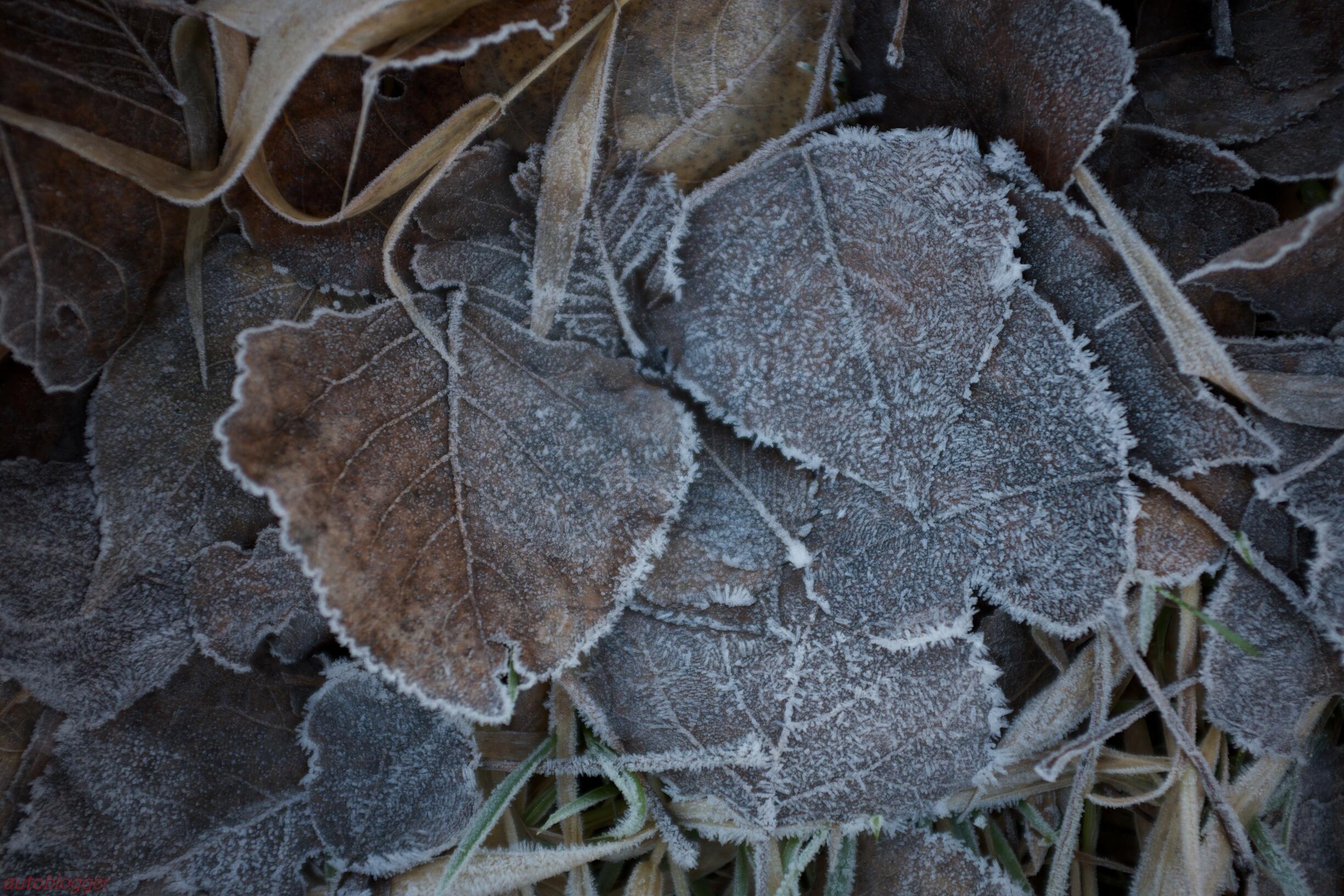 Bild ohne Beschreibung Bild ohne Beschreibung