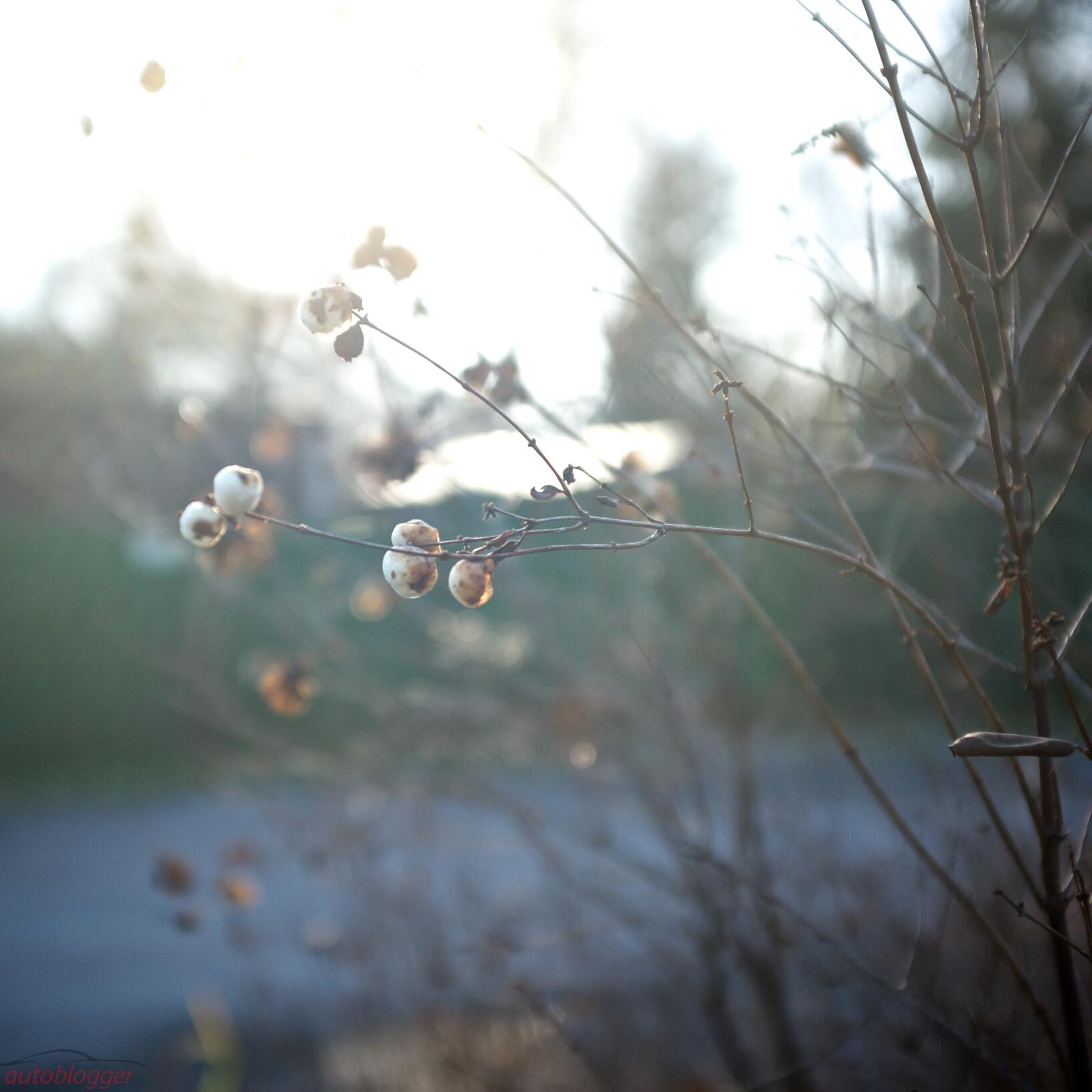Bild ohne Beschreibung Bild ohne Beschreibung