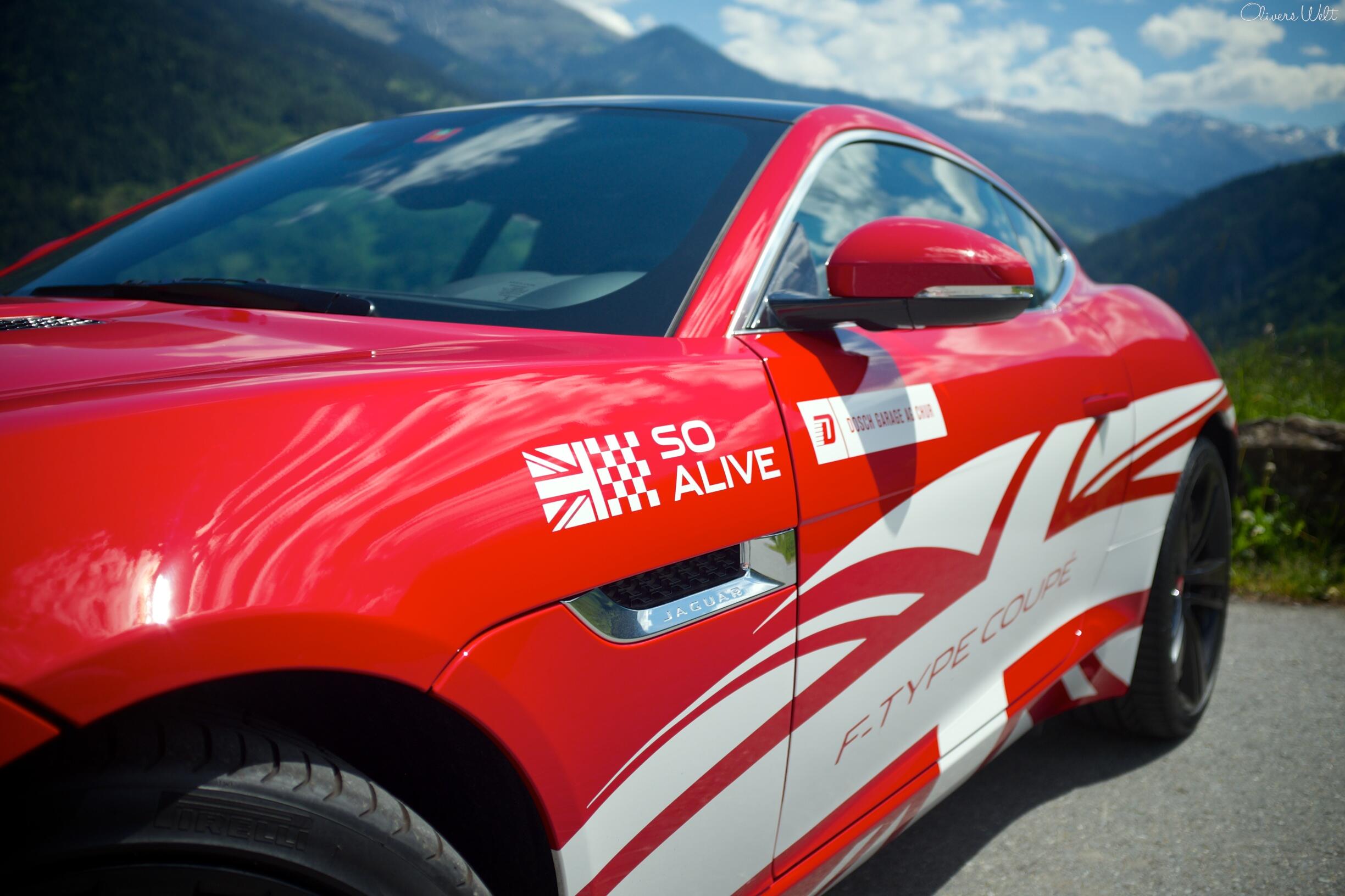 Bild ohne Beschreibung