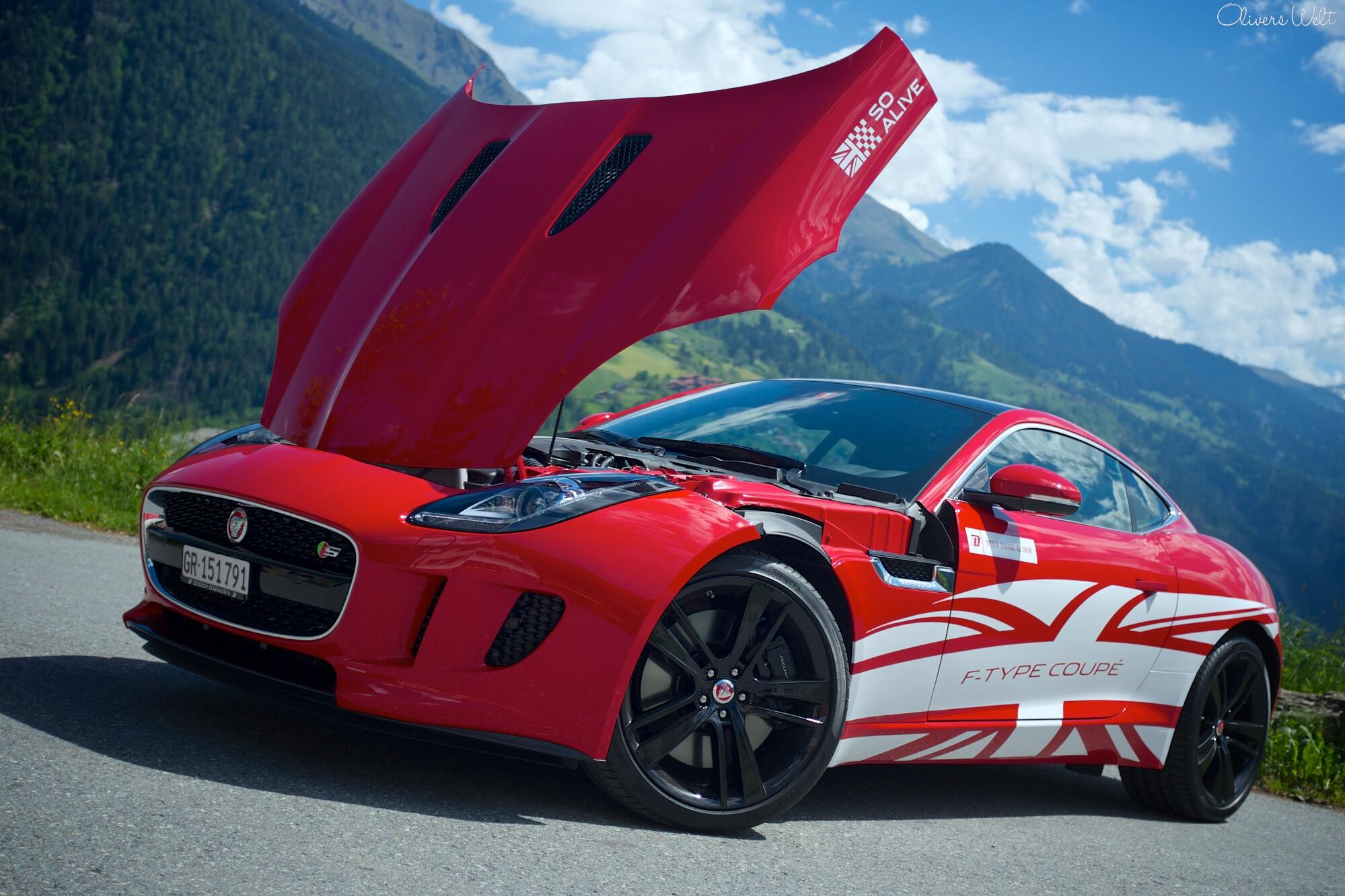 Bild ohne Beschreibung