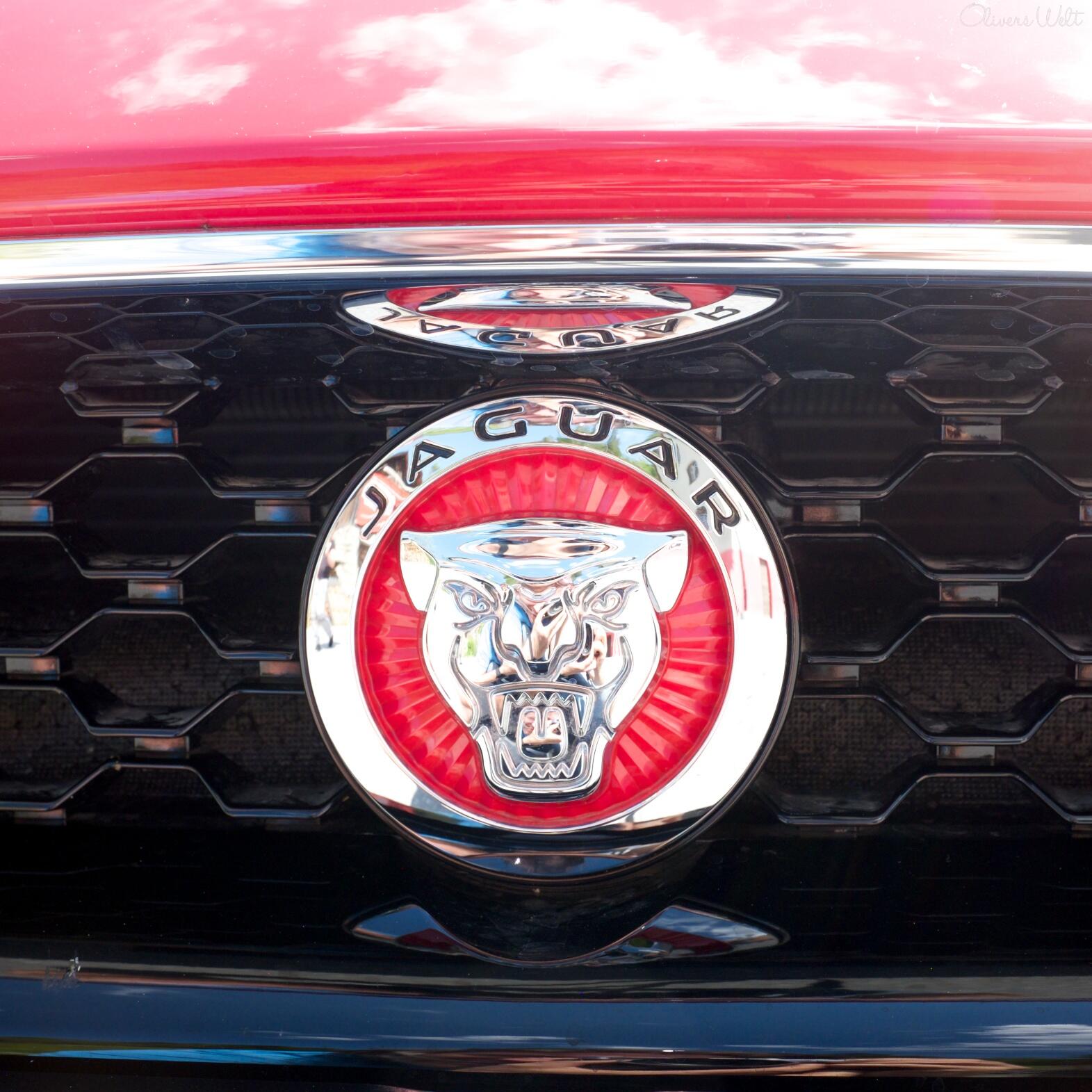 Bild ohne Beschreibung