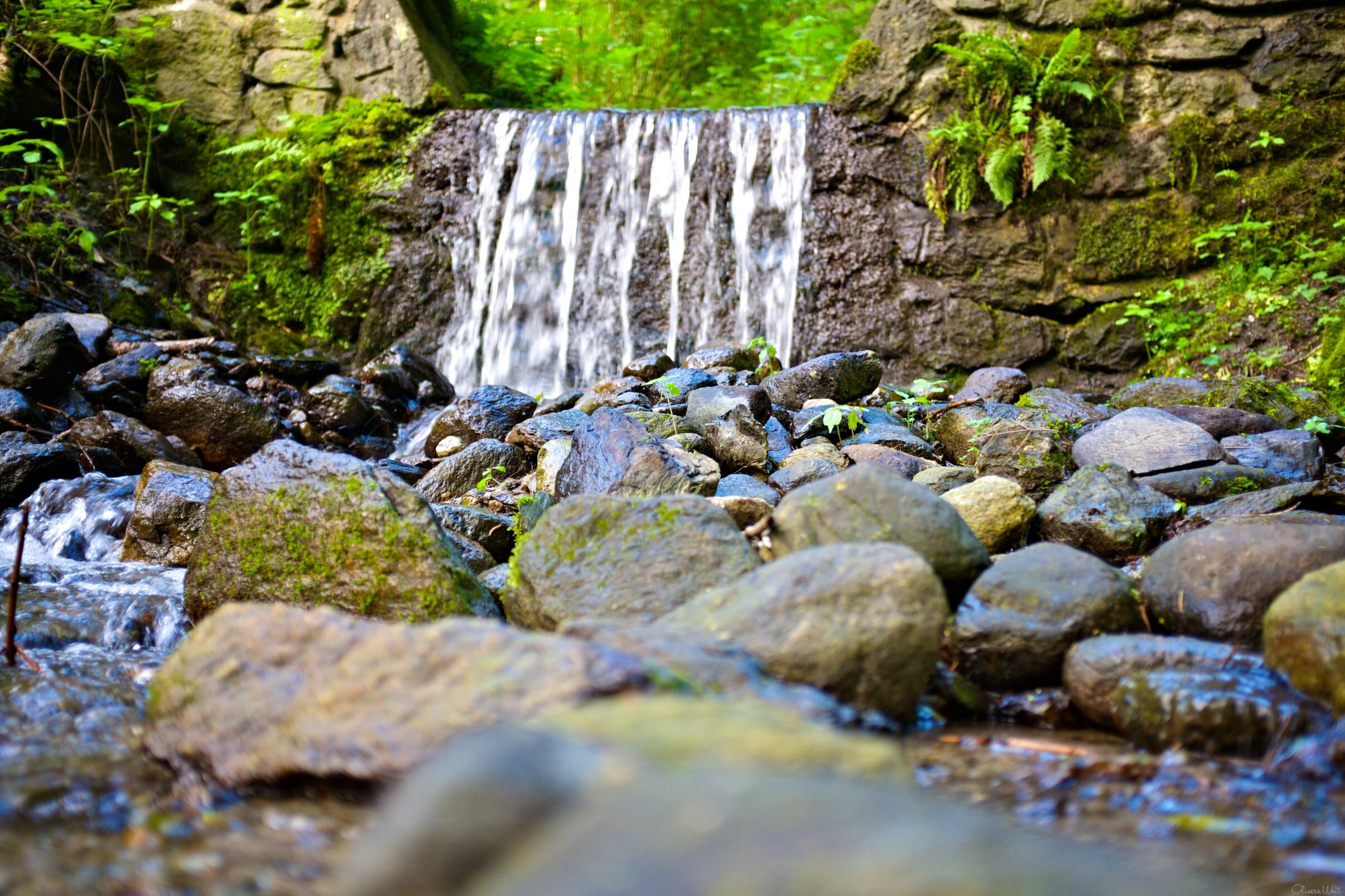 Bild ohne Beschreibung