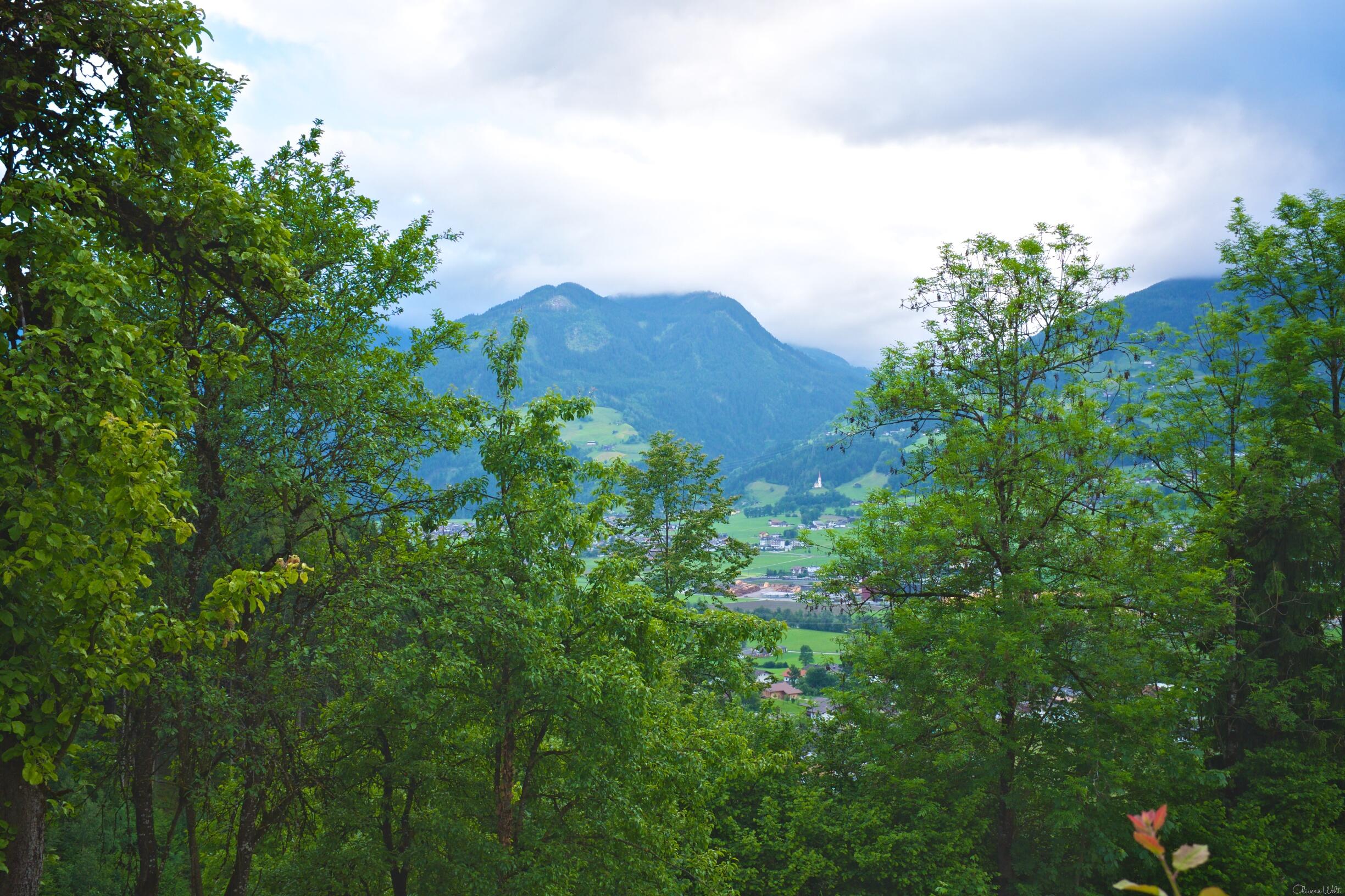 Bild ohne Beschreibung