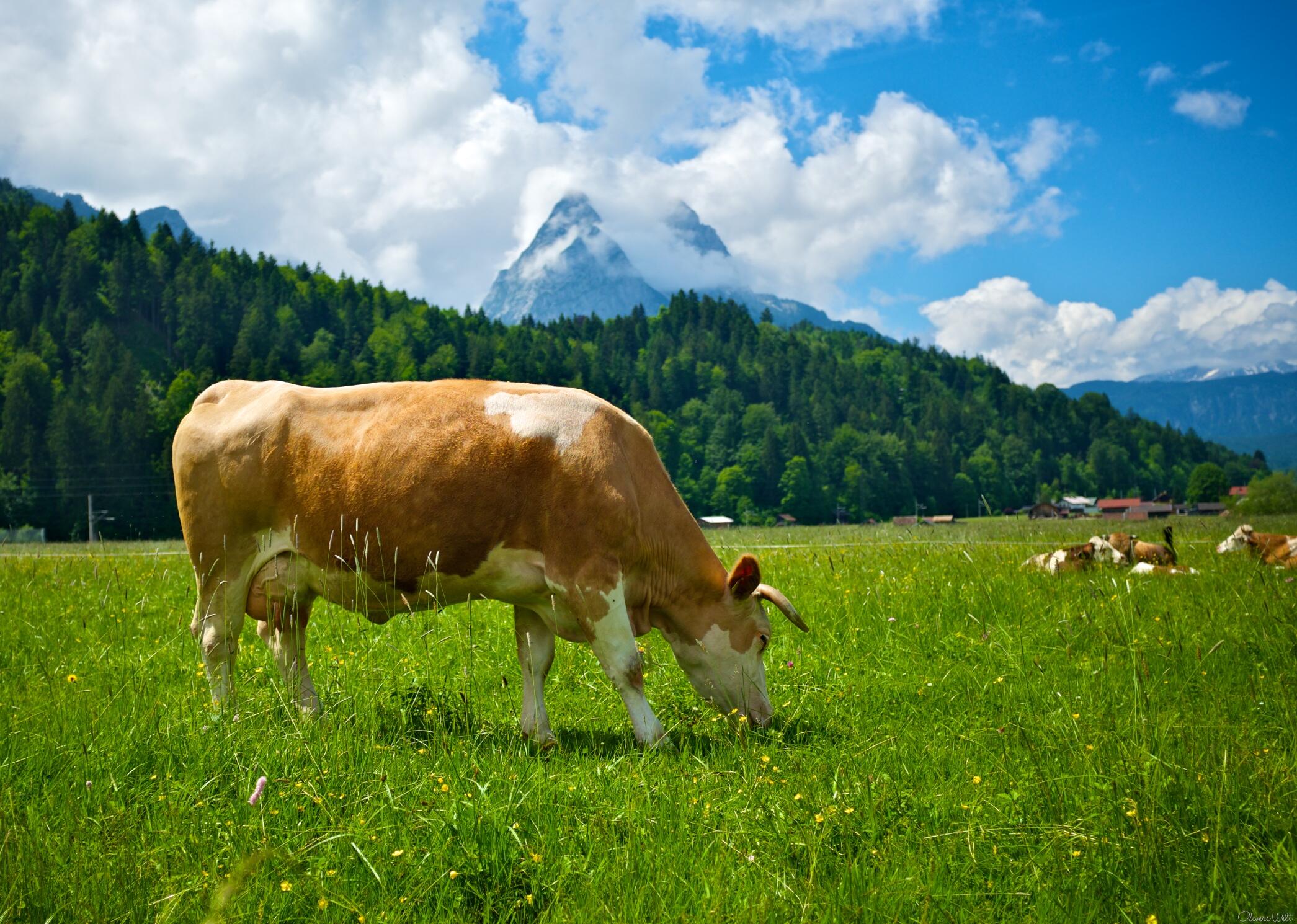 Bild ohne Beschreibung