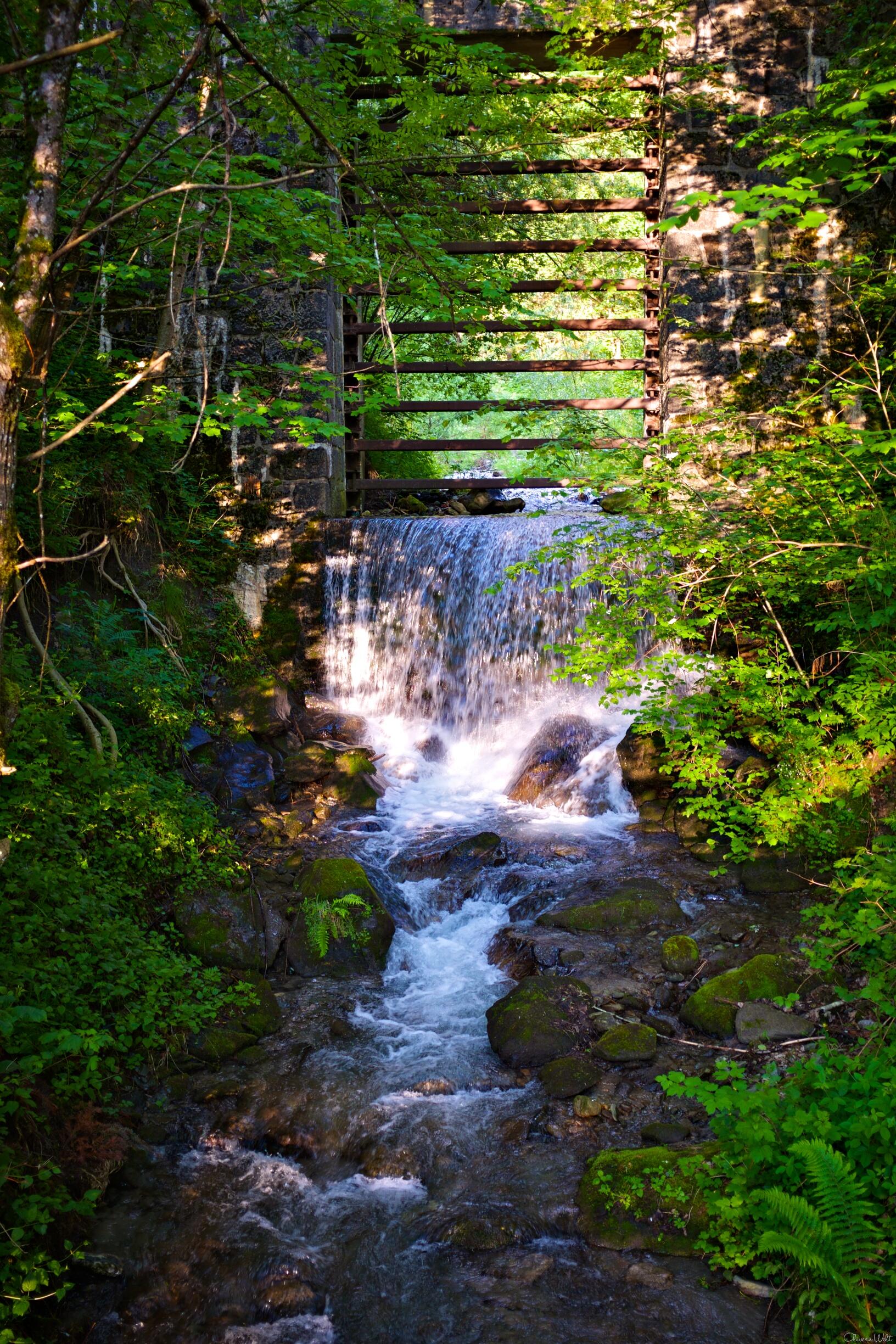 Bild ohne Beschreibung