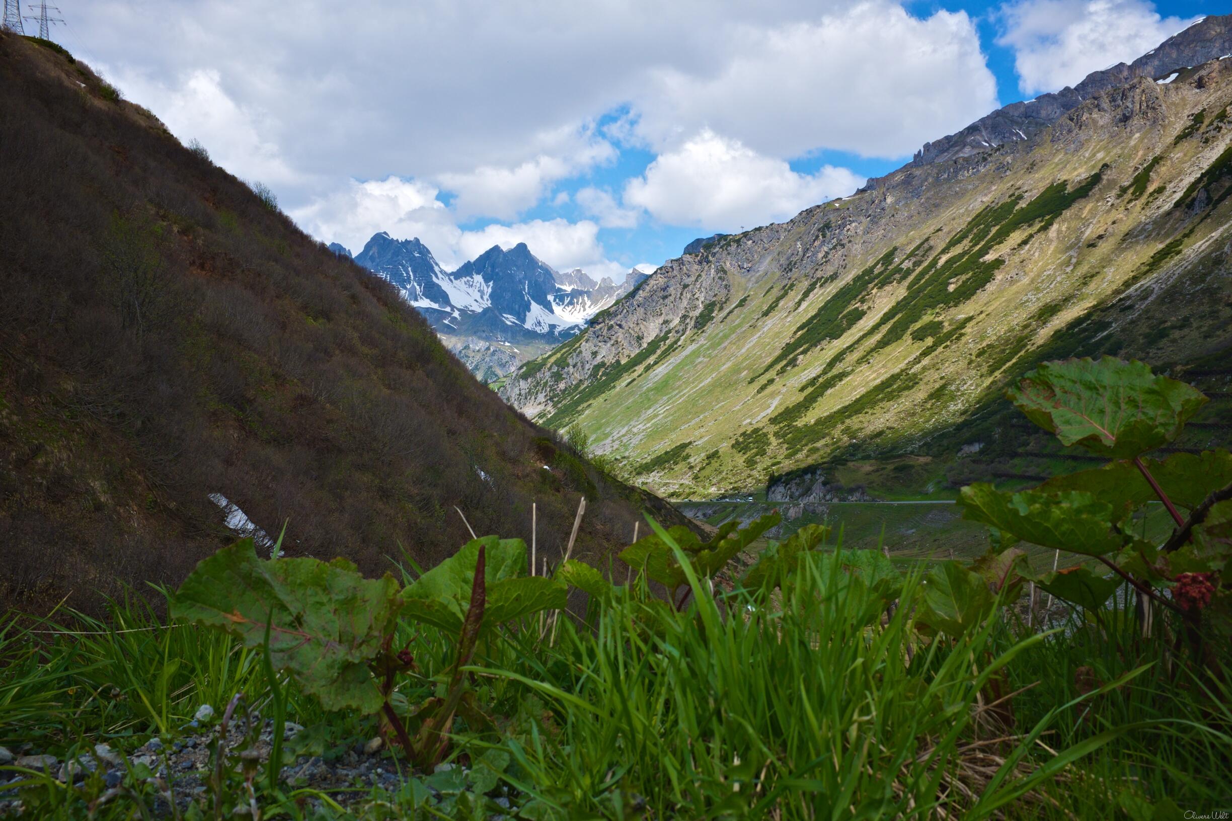 Bild ohne Beschreibung